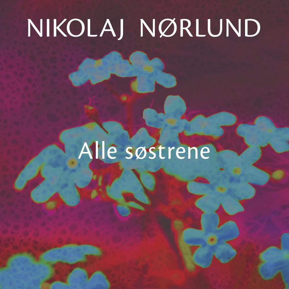 Постер альбома Alle Søstrene