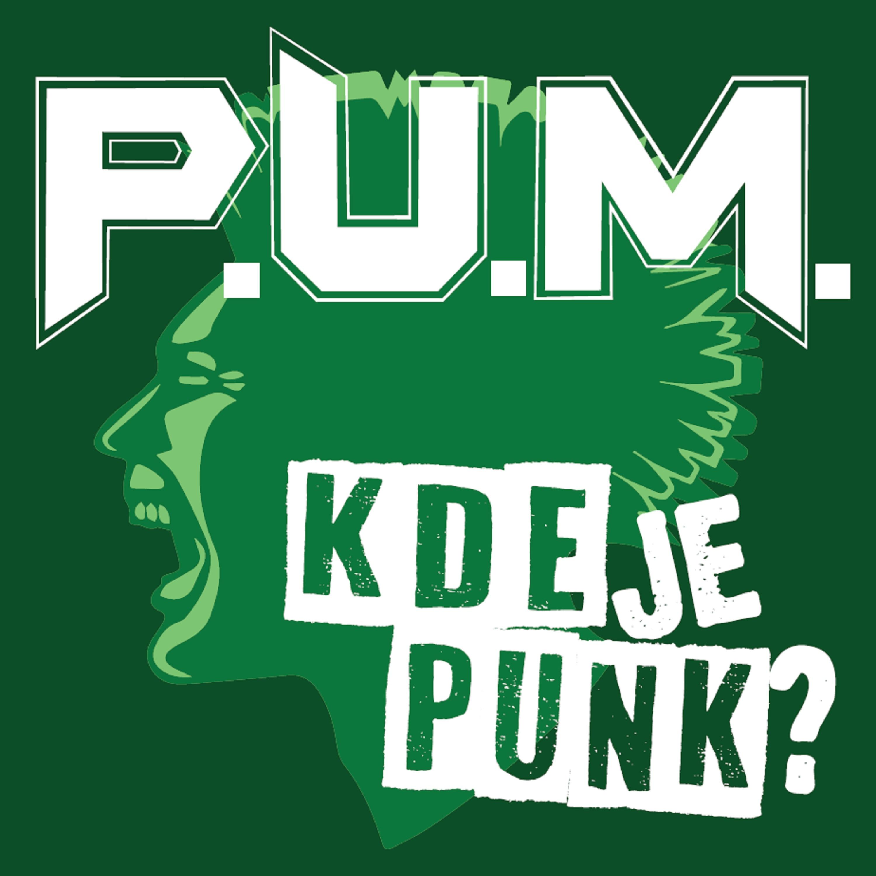 Постер альбома Kde je punk?