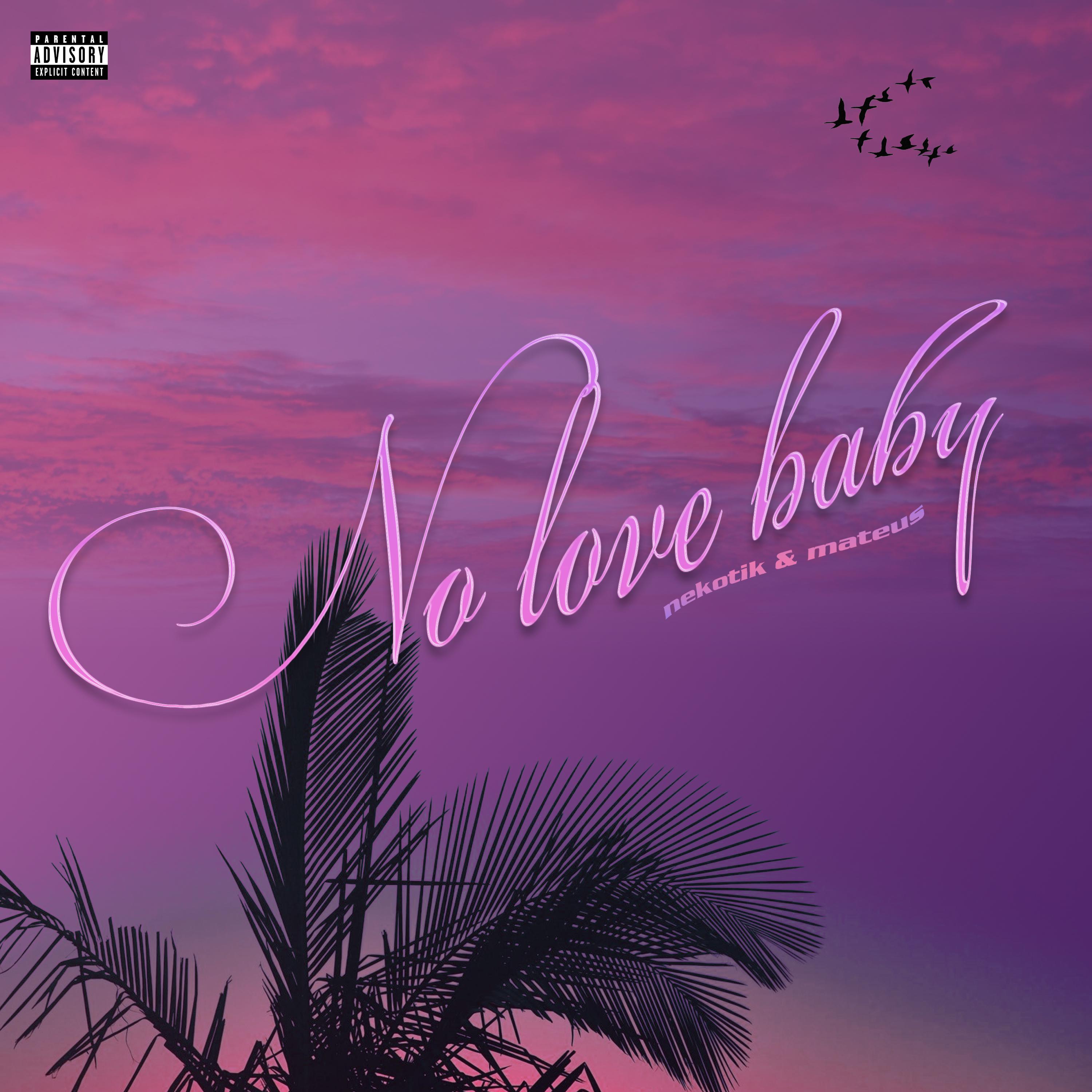 Постер альбома No love baby