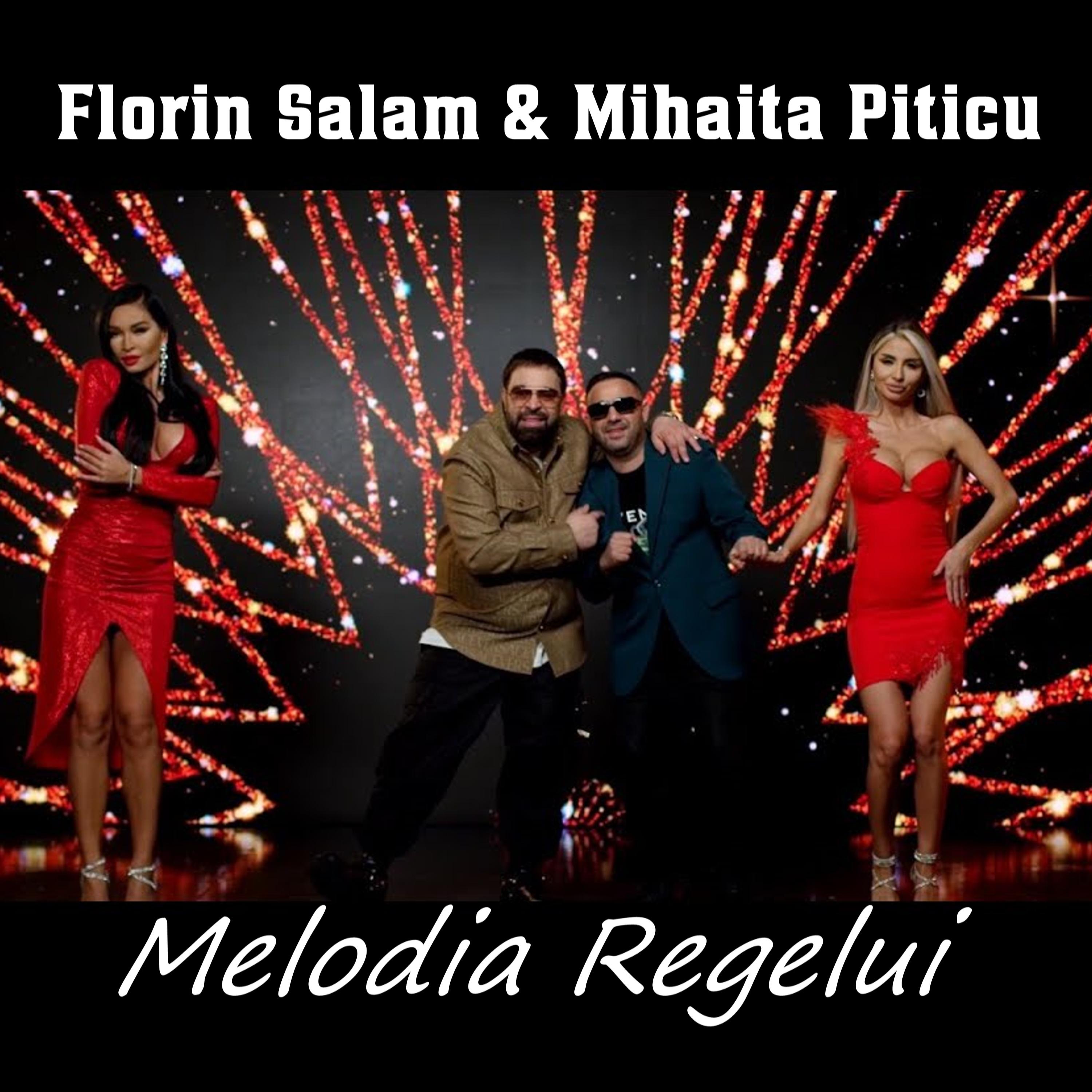 Постер альбома Melodia Regelui
