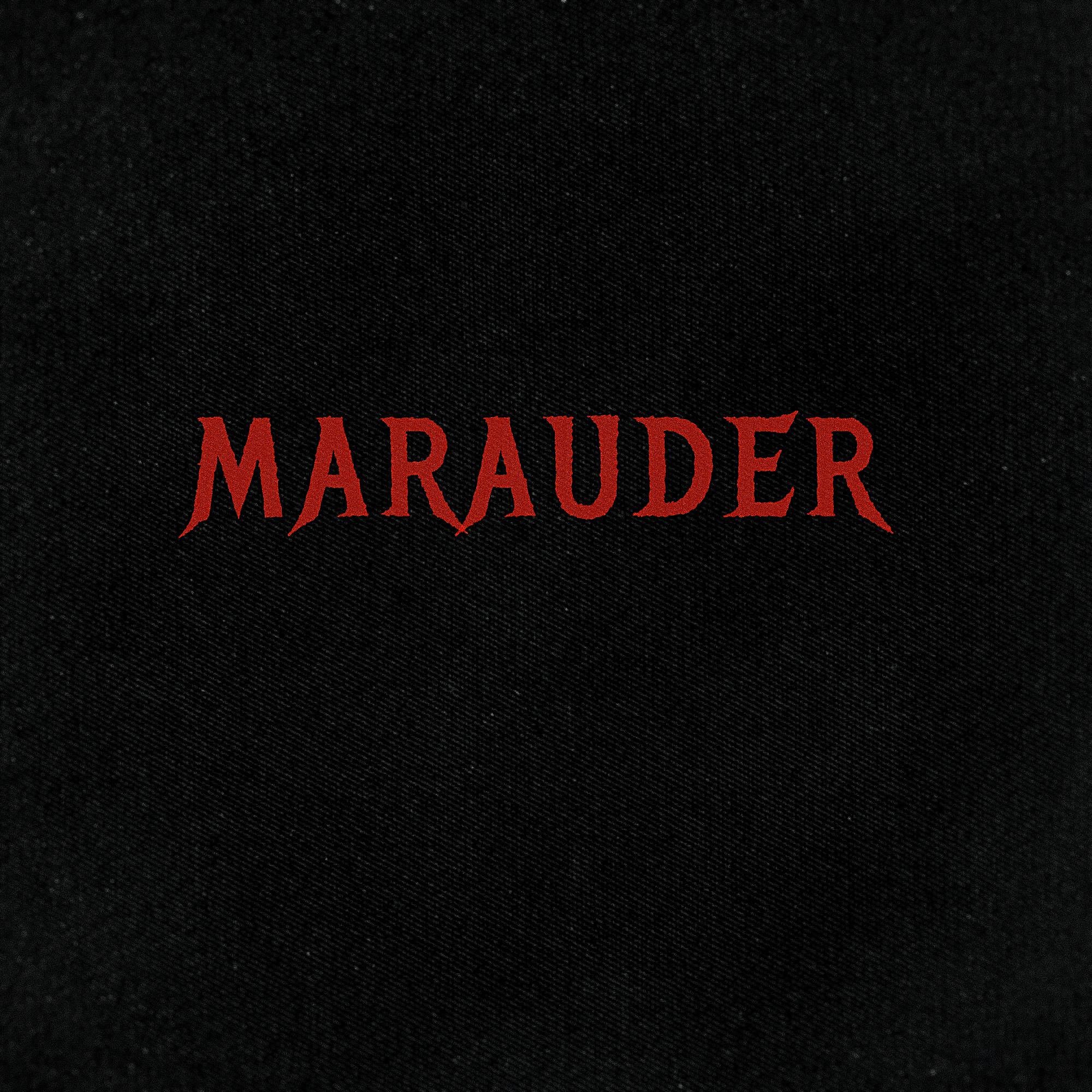 Постер альбома Marauder