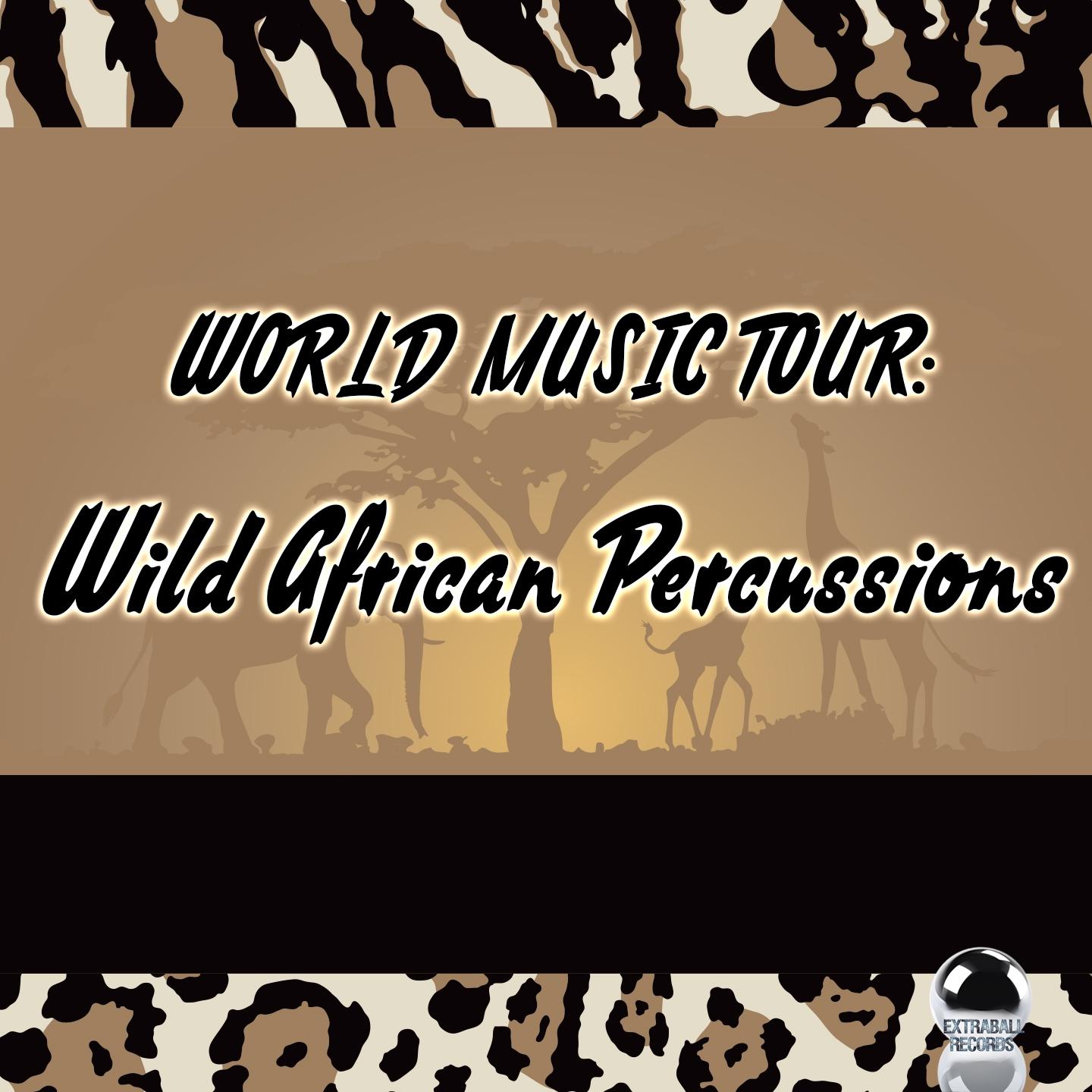 Постер альбома World Music Tour: Wild African Percussions