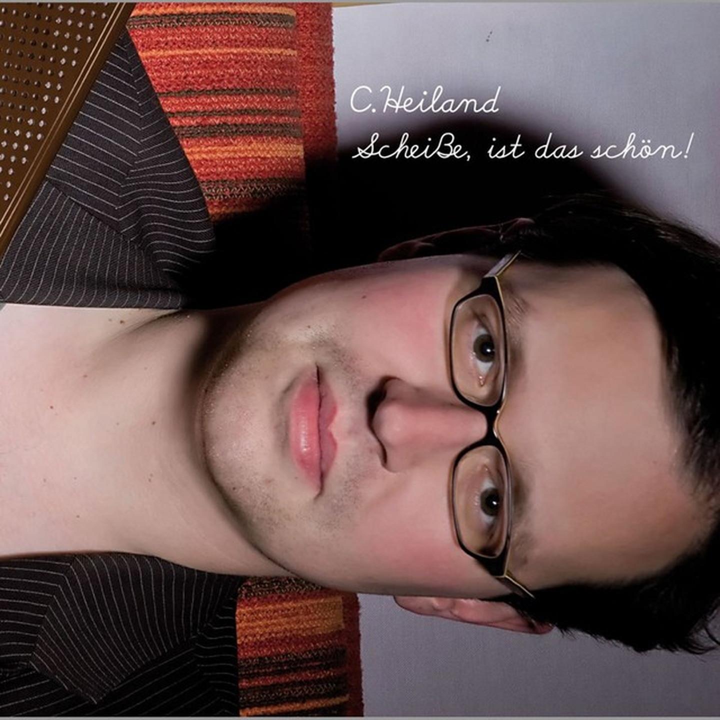 Постер альбома Scheiße, ist das schön!