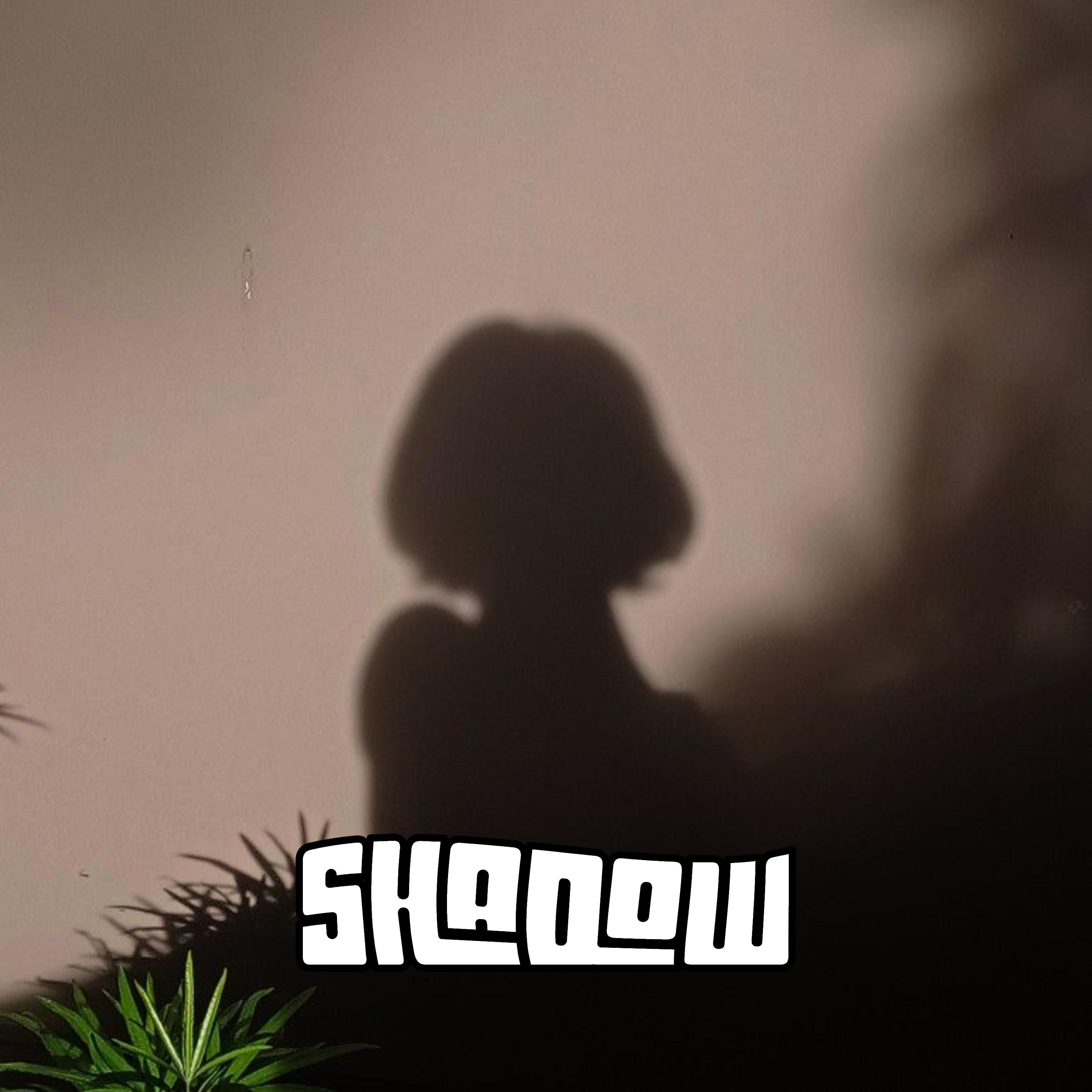 Постер альбома Shadow