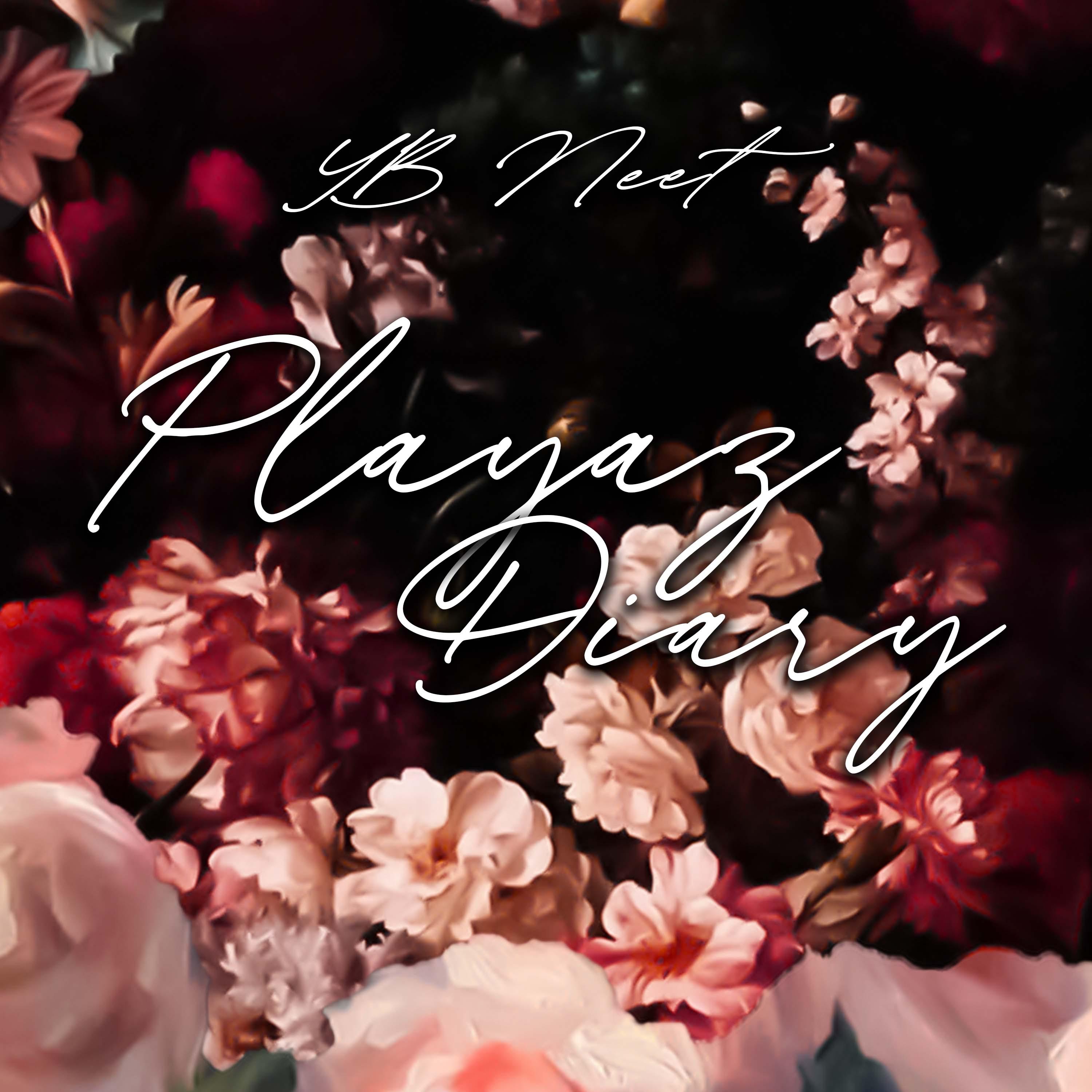 Постер альбома Playaz Diary