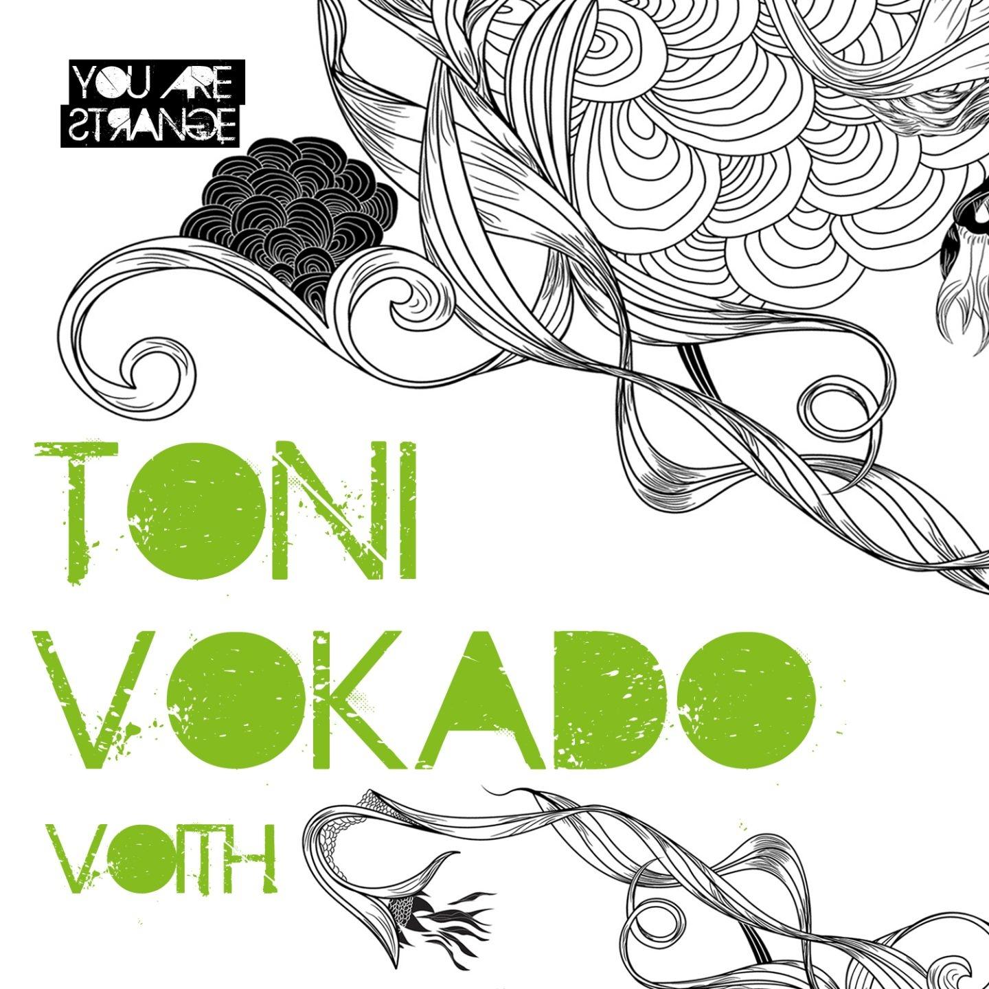 Постер альбома Voith