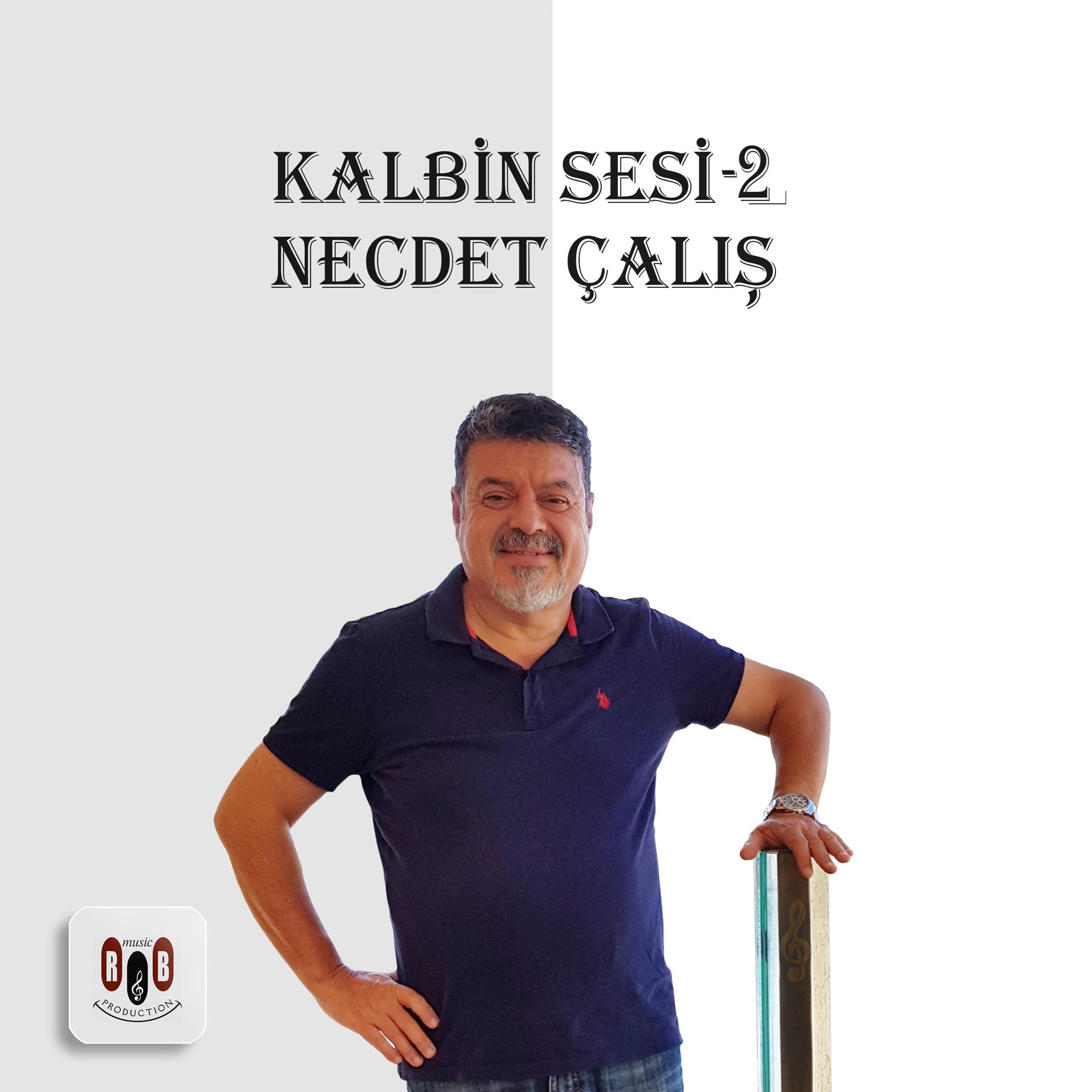 Постер альбома Kalbin Sesi 2