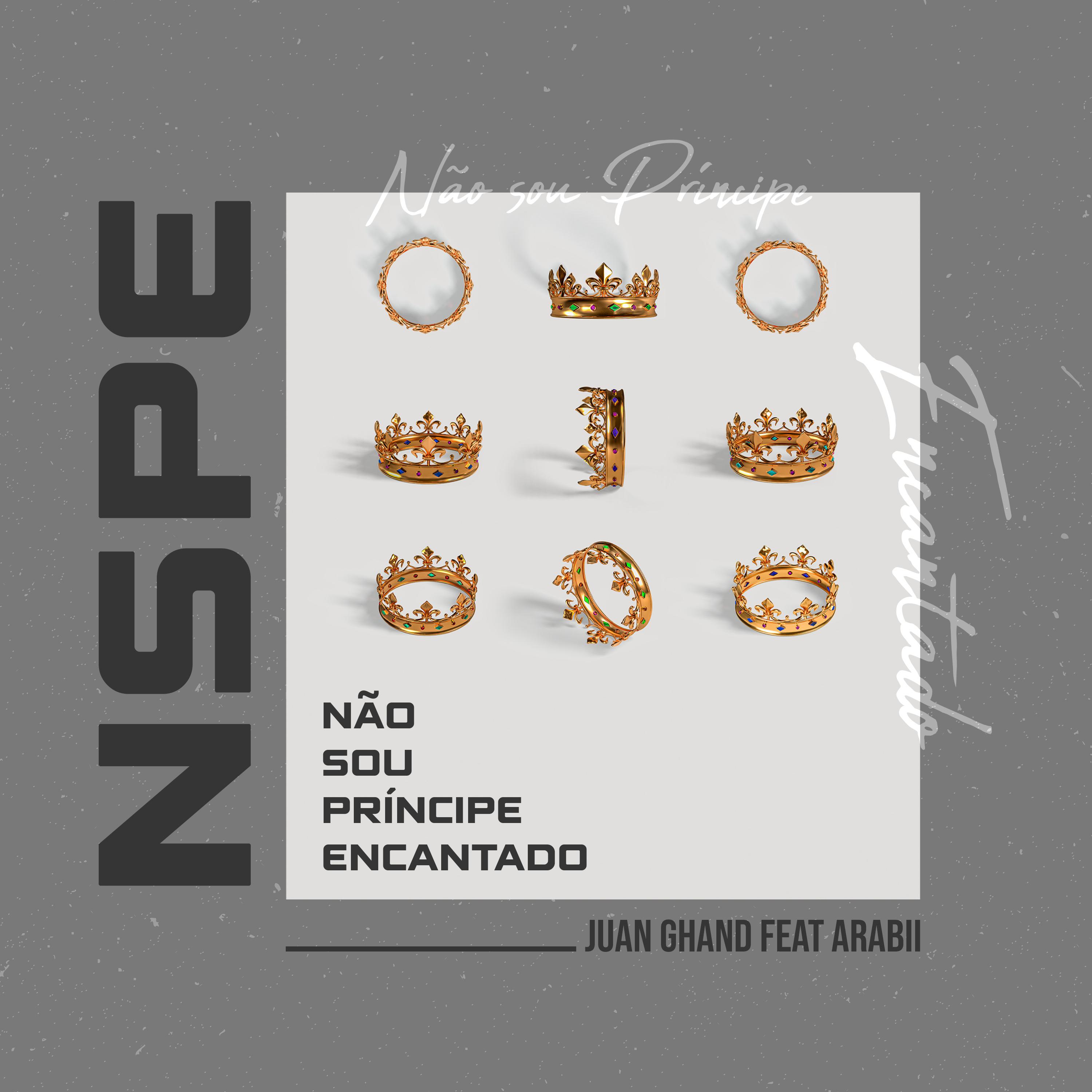 Постер альбома Não Sou Príncipe Encantado