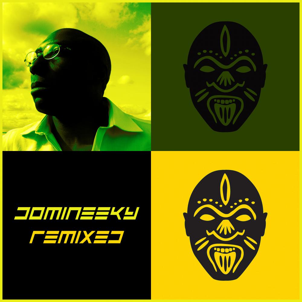 Постер альбома Domineeky Remixed