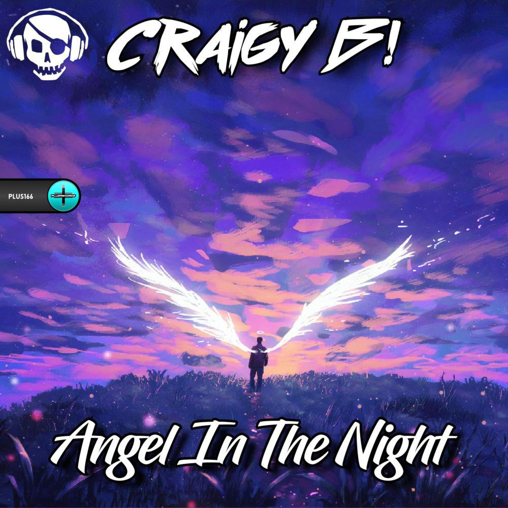 Постер альбома Angel In The Night