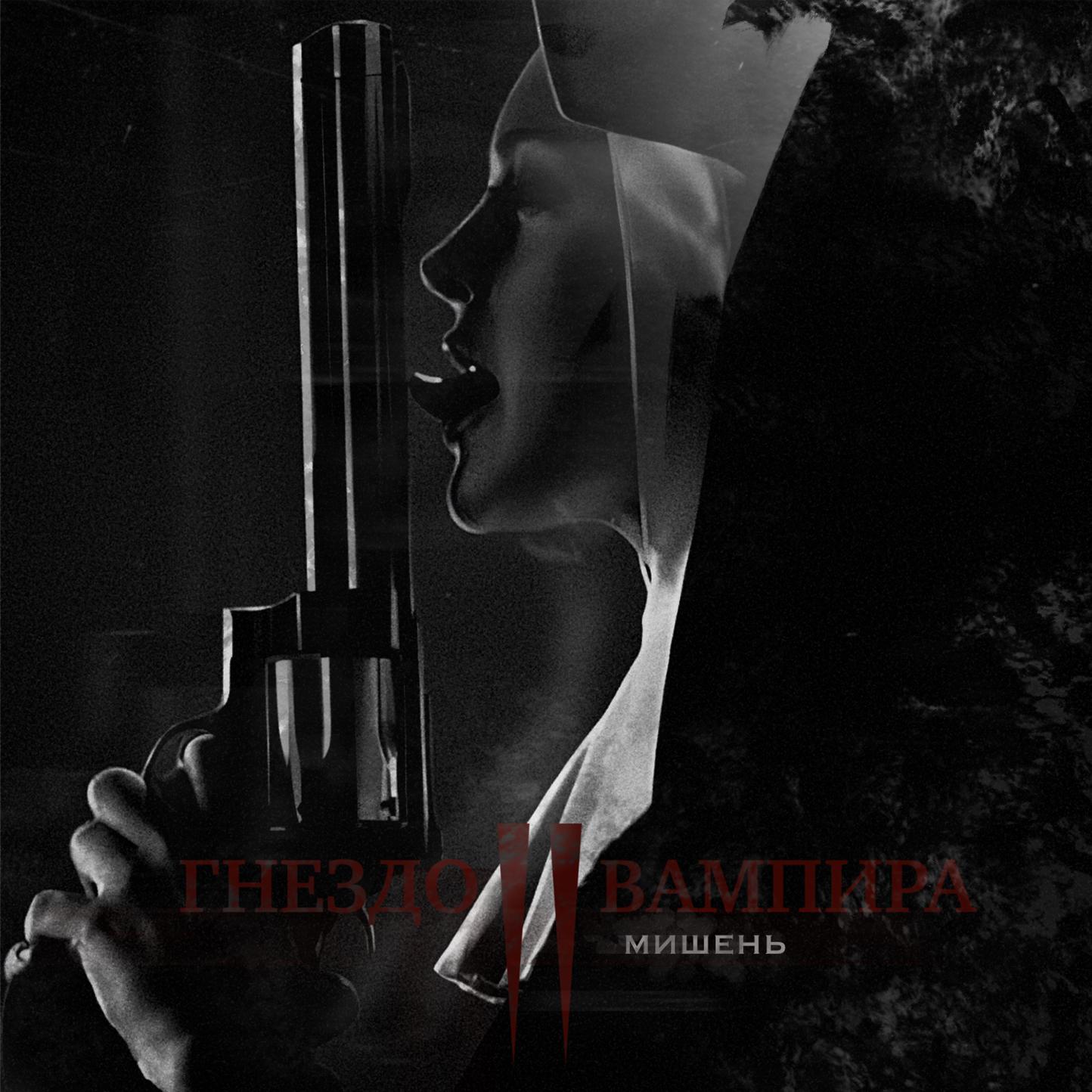 Постер альбома Мишень
