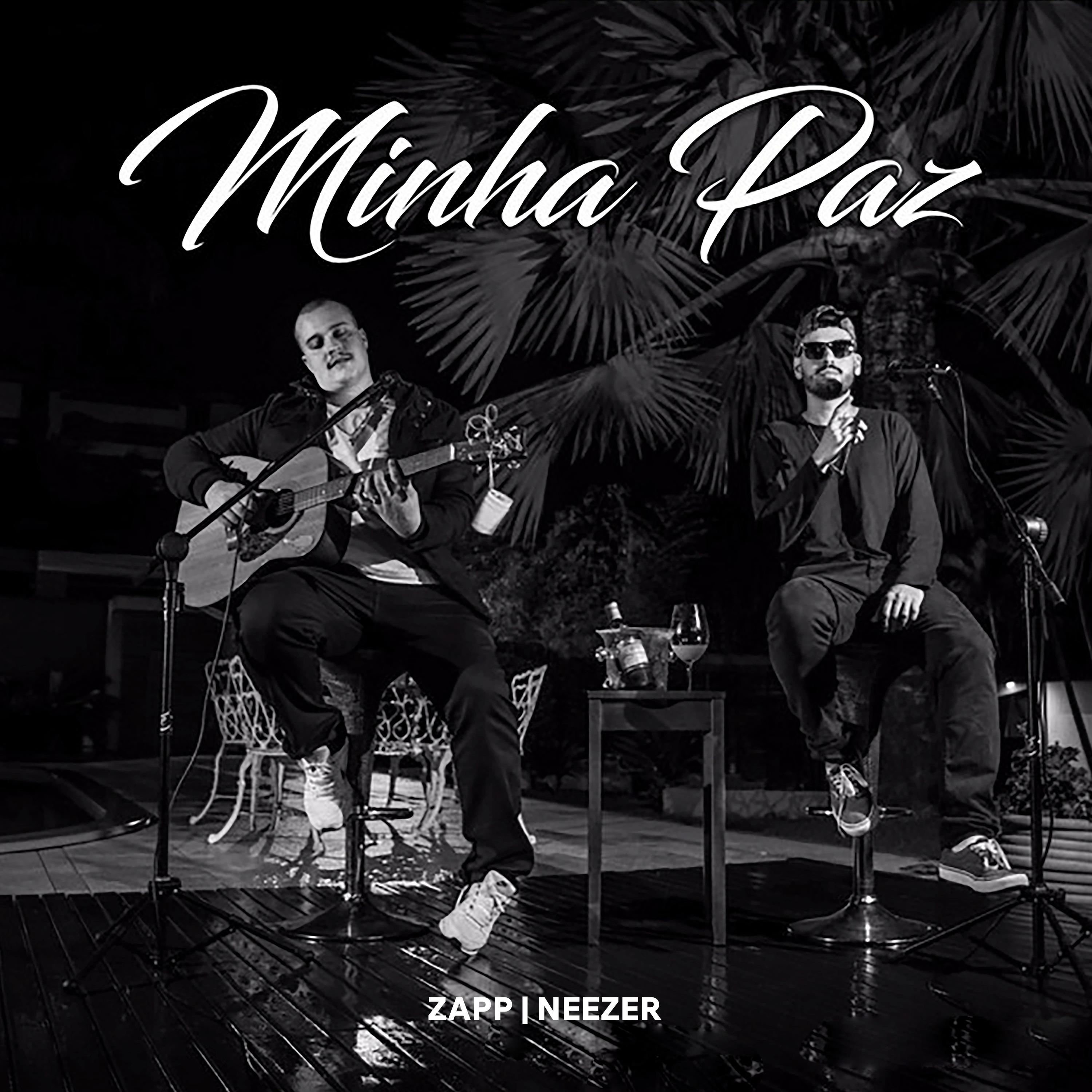 Постер альбома Minha Paz