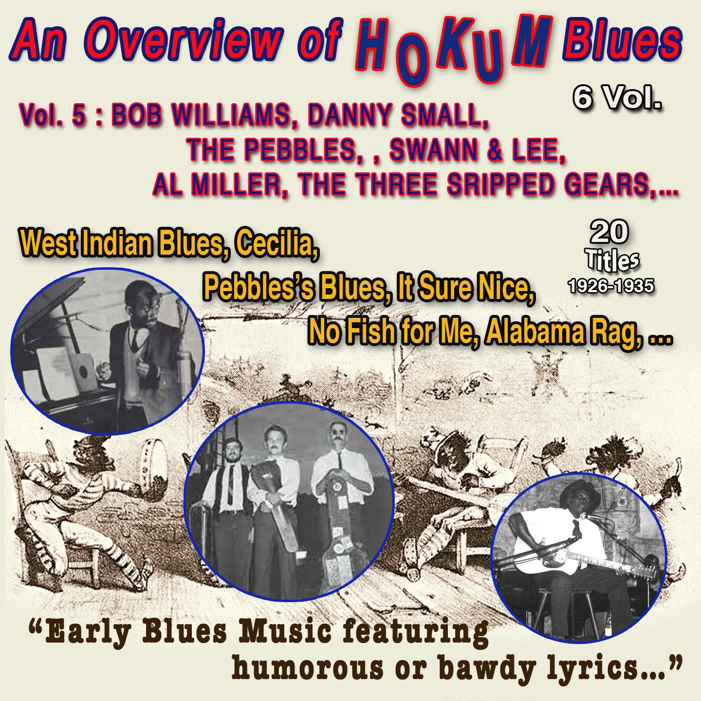 Постер альбома An Overview of Hokum Blues 6 Vol. - Vol. 5 : Bob Williams - Dany Small - The Pebbles - Swan & Lee - Al Miller - Three Stripped Gears Early blues music