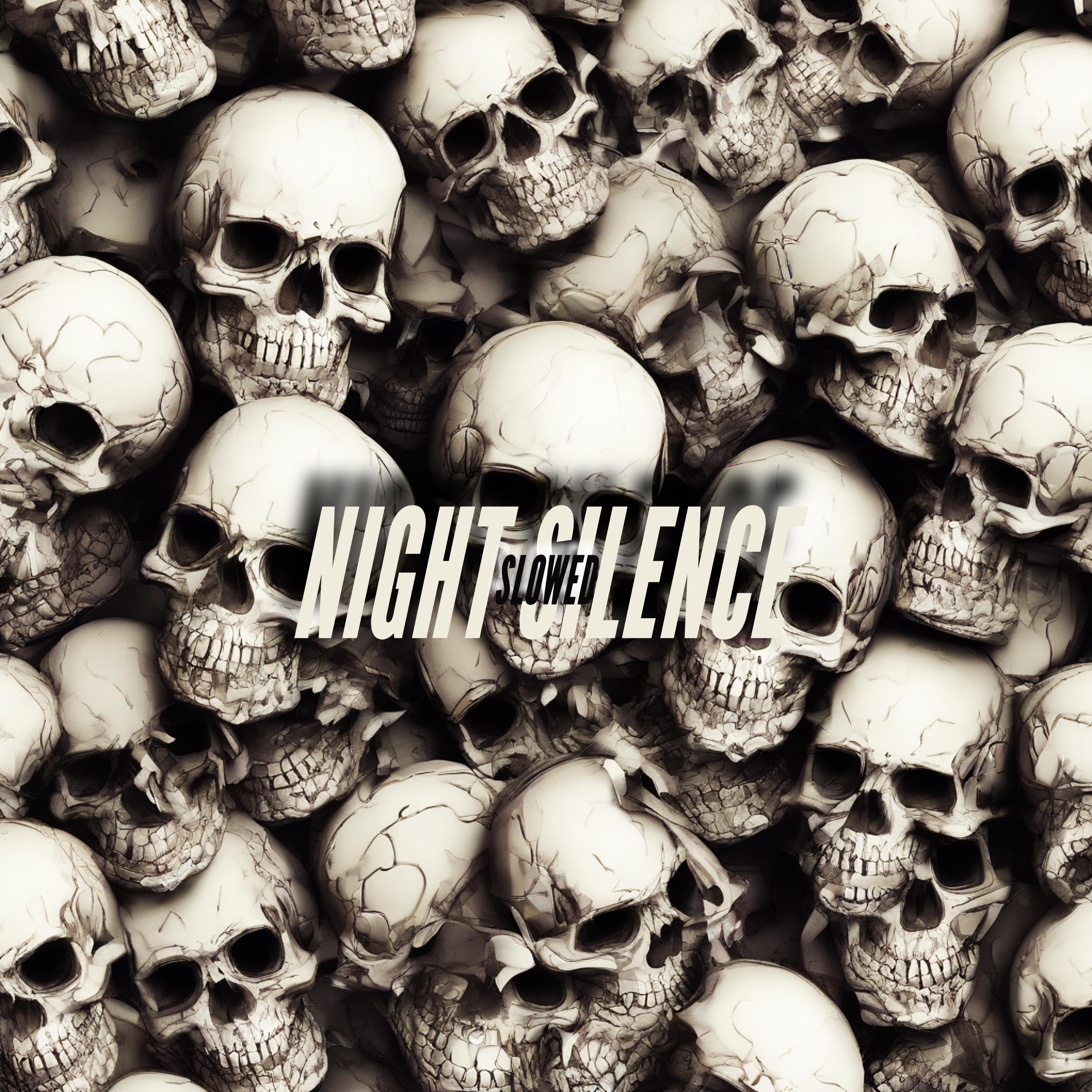 Постер альбома NIGHT SILENCE