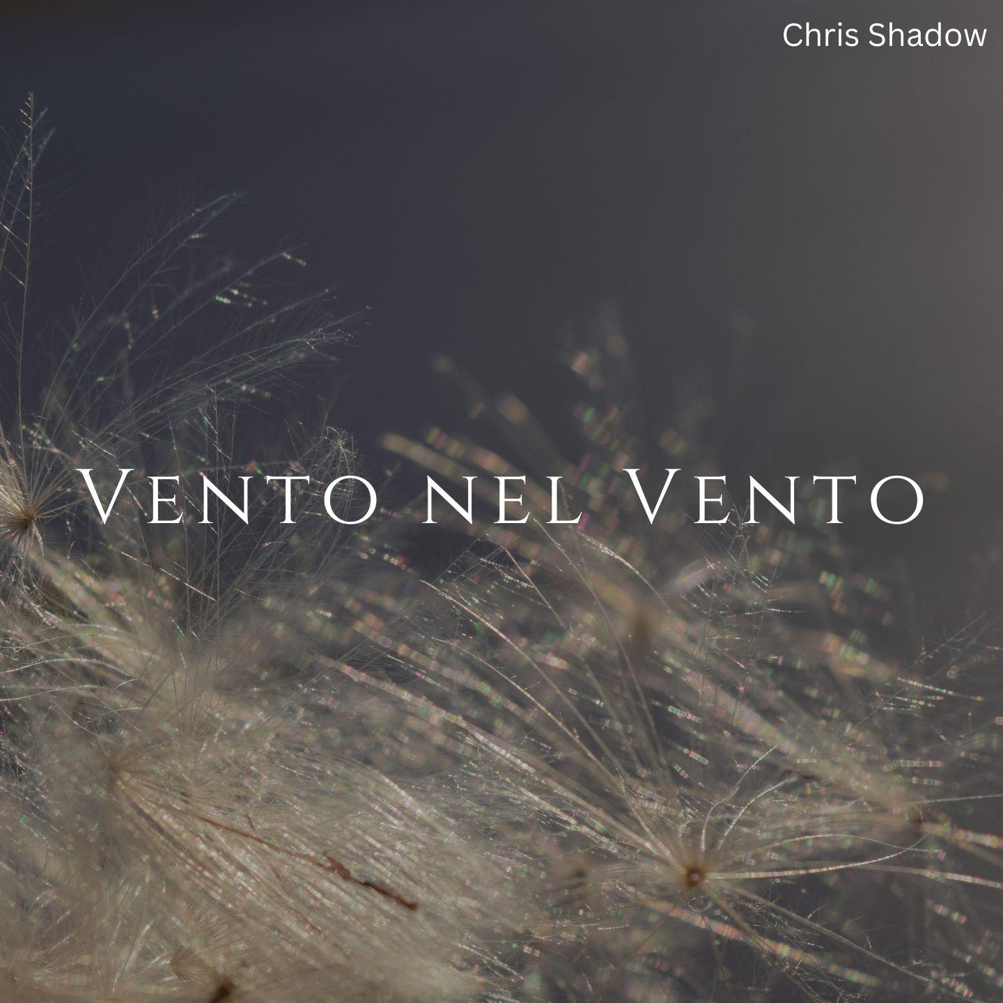 Постер альбома Vento nel vento