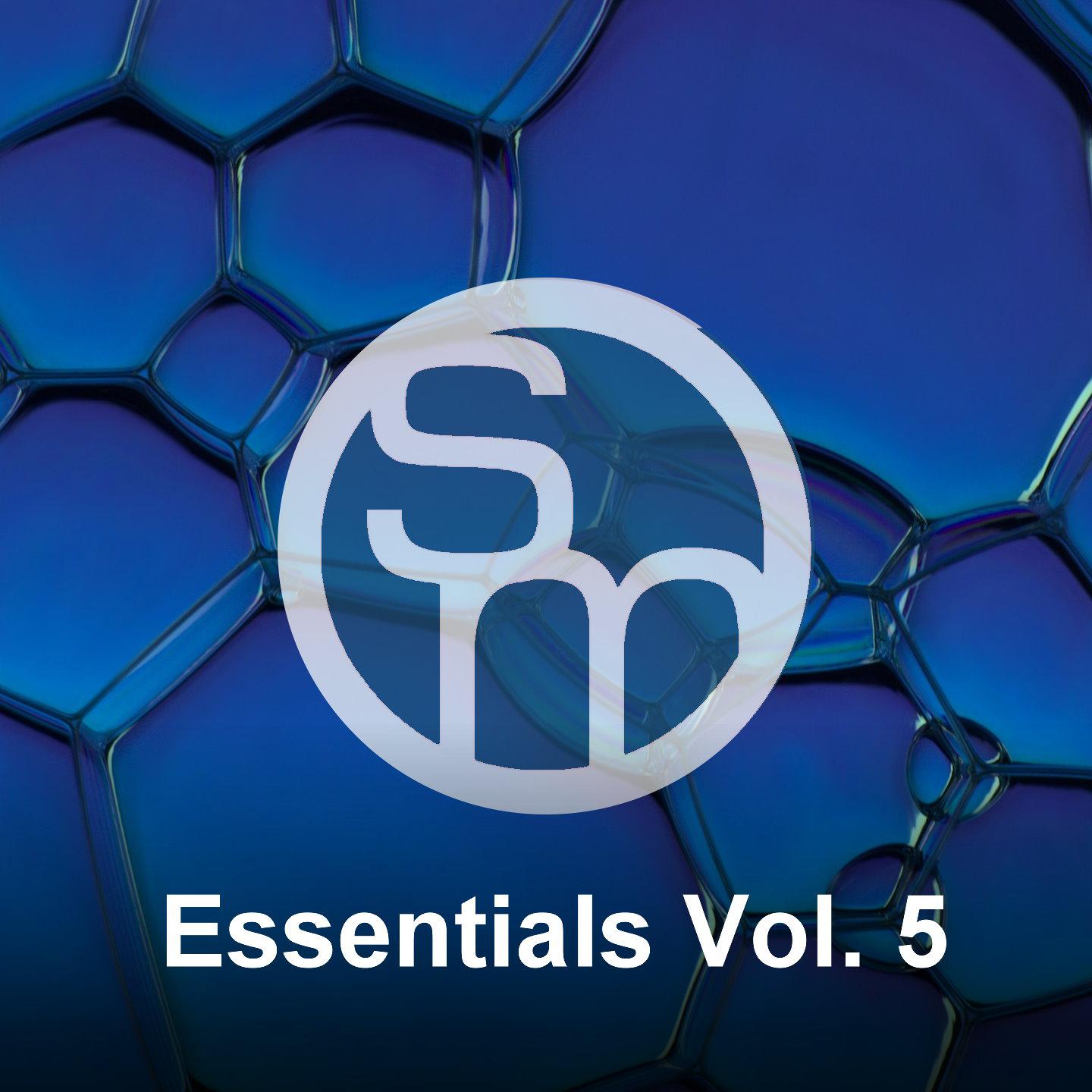 Постер альбома Syncmusic - Essentials, Vol. 5