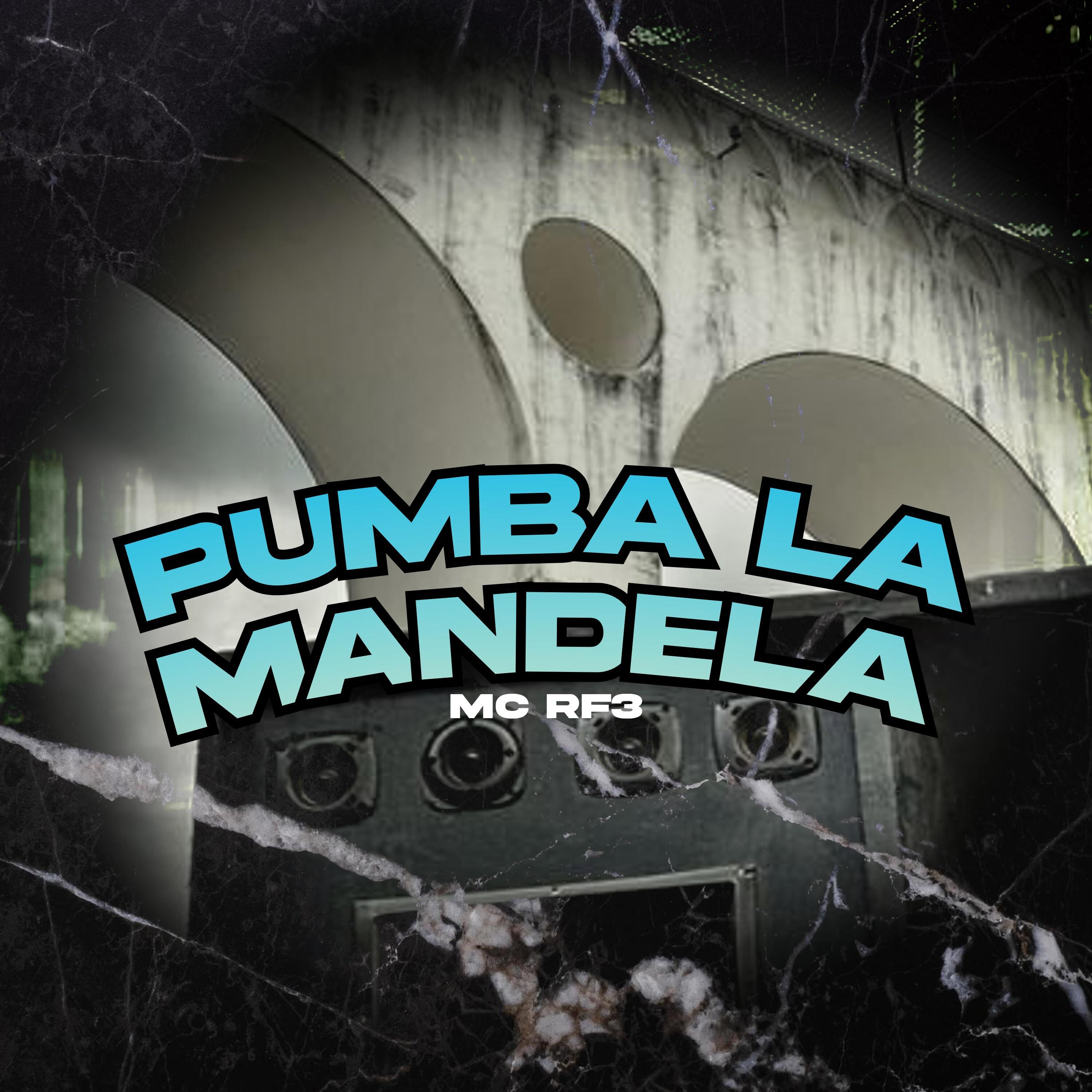 Постер альбома Pumba La Mandela