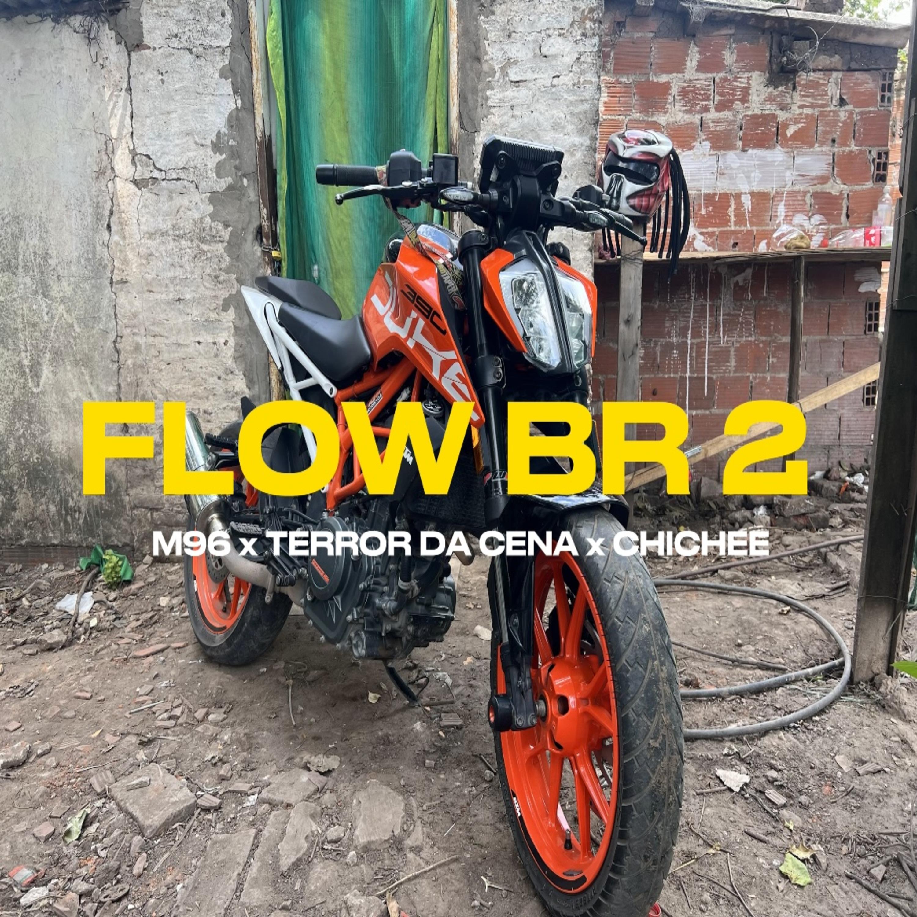 Постер альбома Flow Br 2
