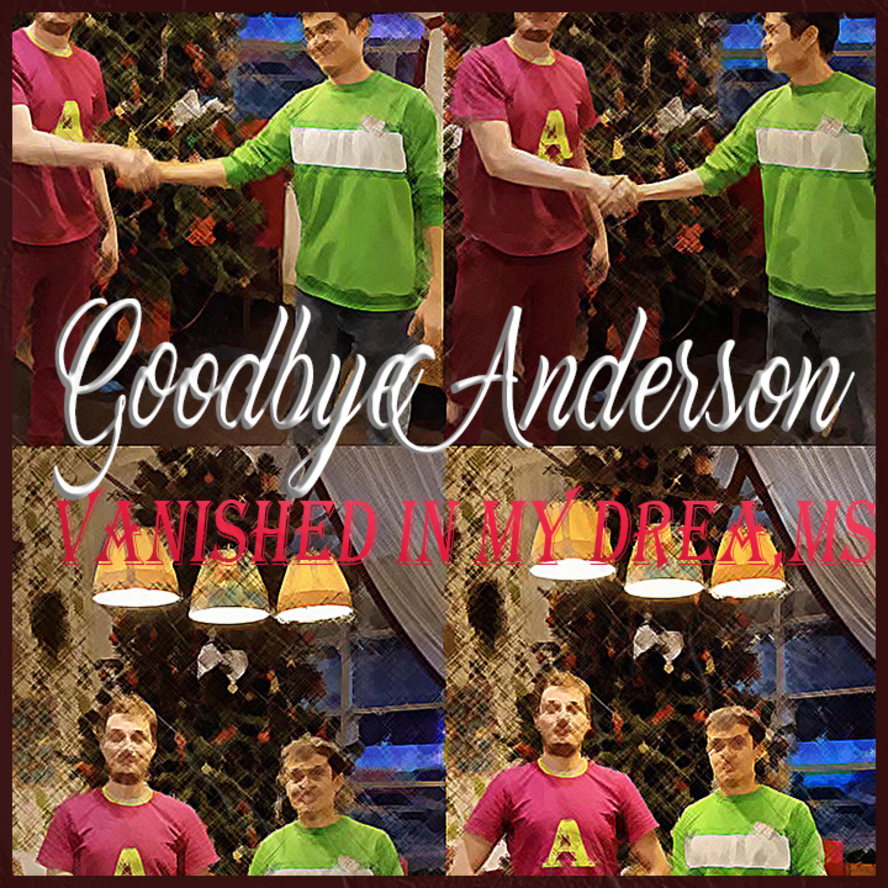 Постер альбома Goodbye Anderson