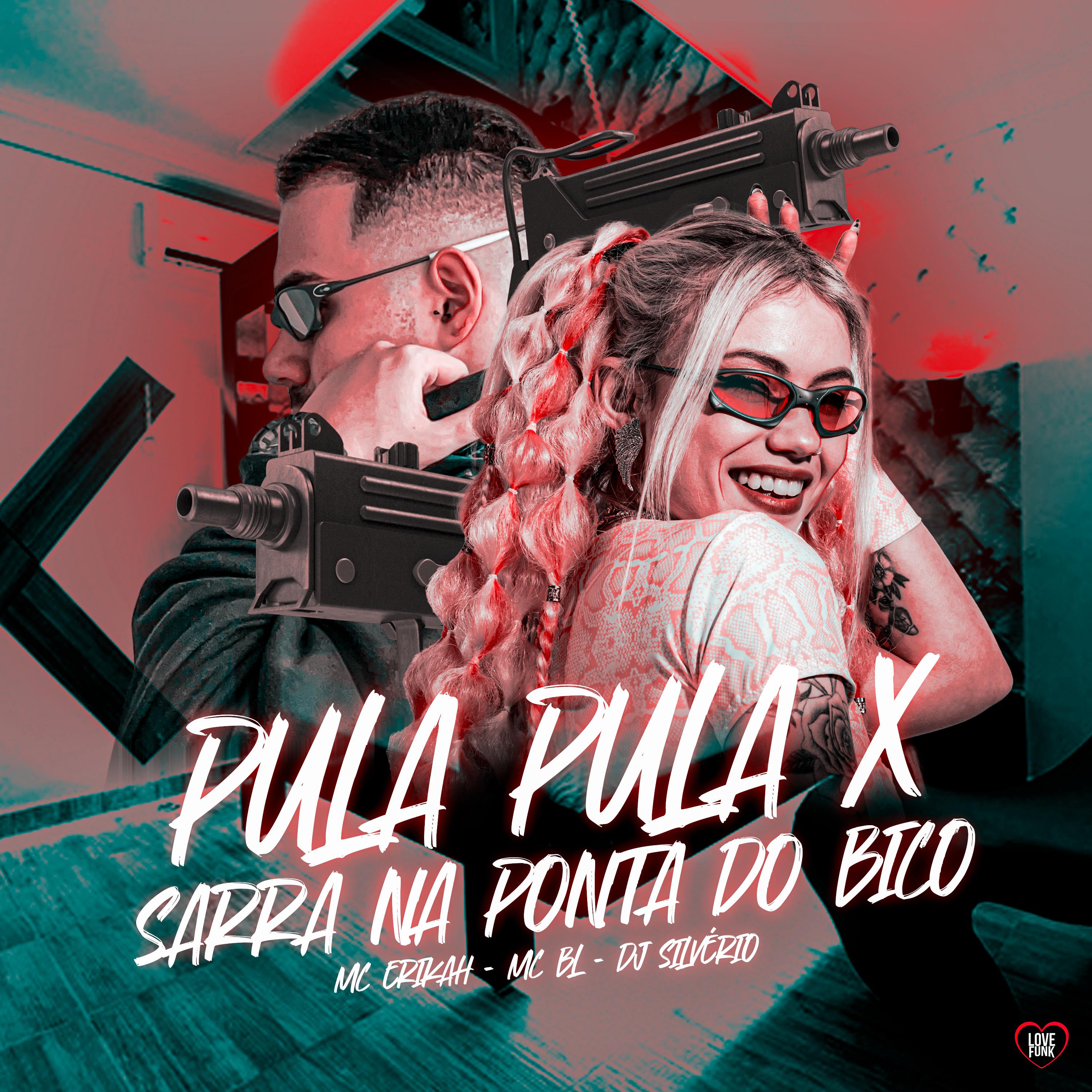 Постер альбома Pula Pula X Sarra na Ponta do Bico