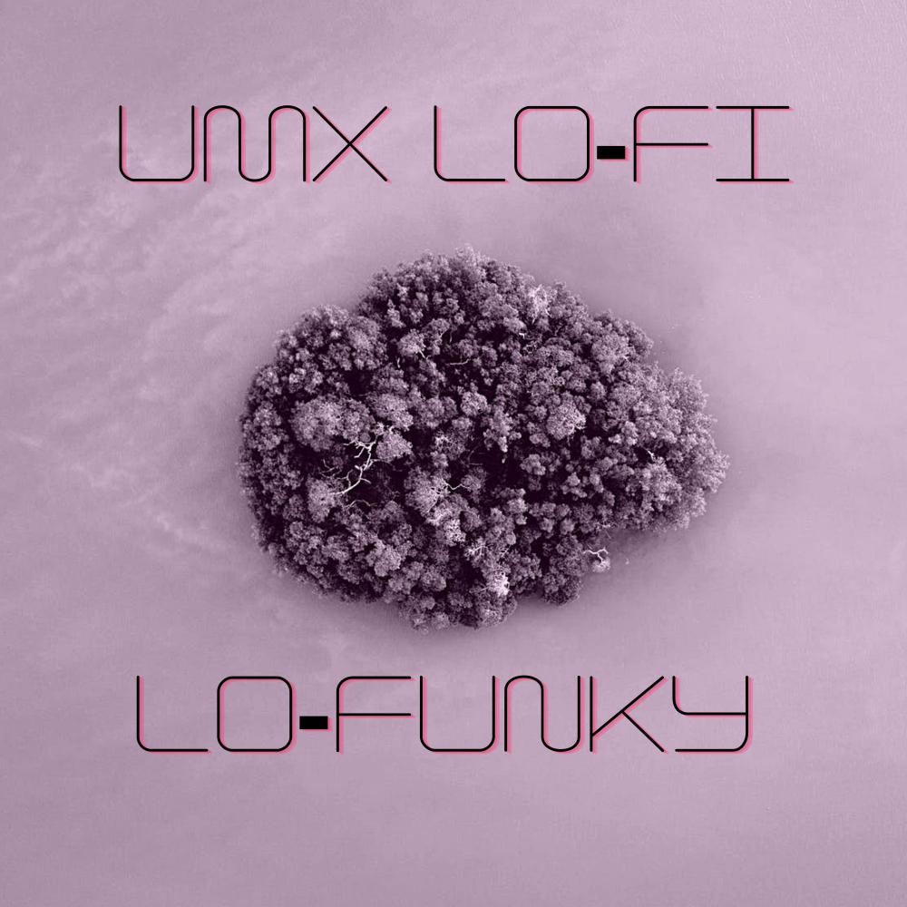 Постер альбома Lo-Funky