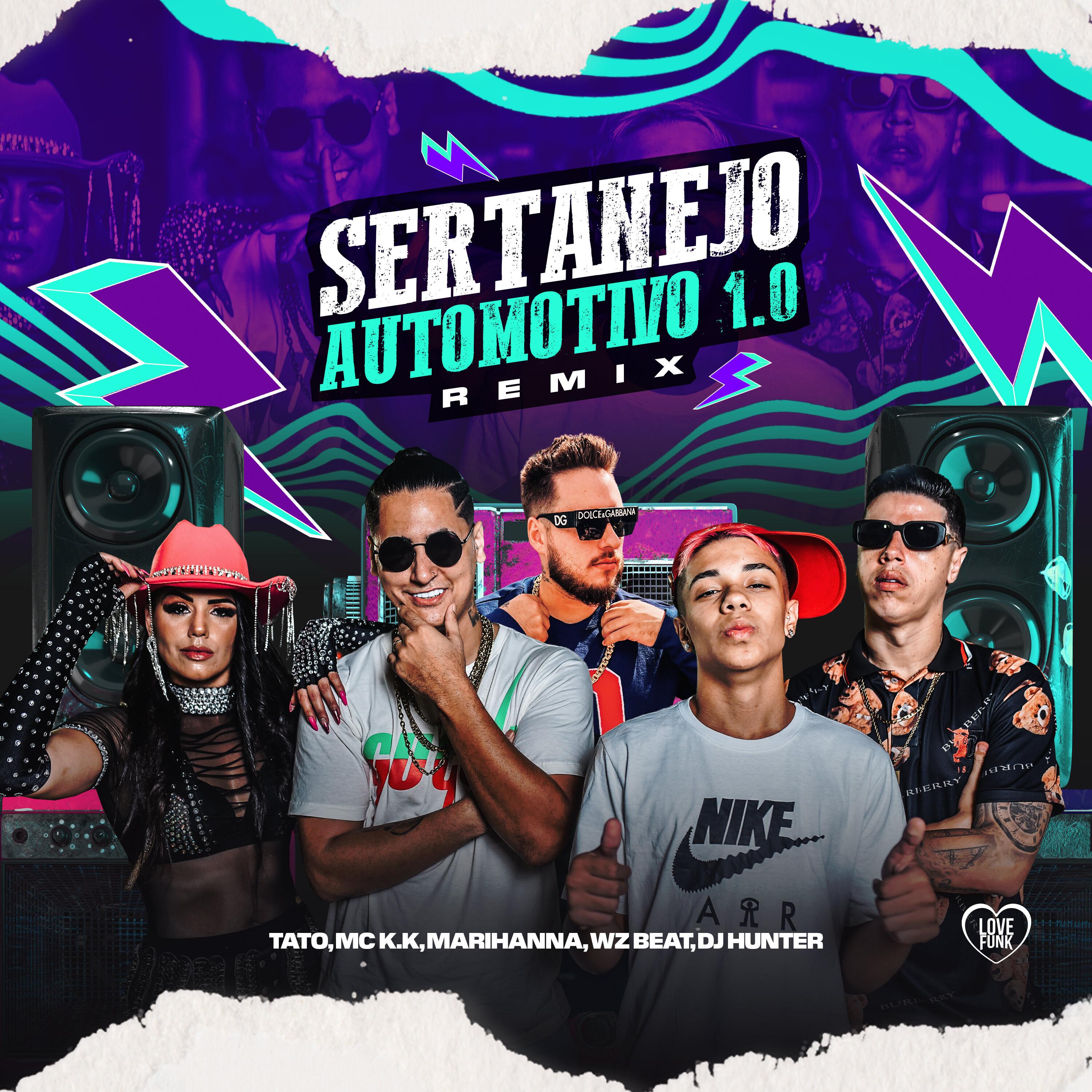 Постер альбома Sertanejo Automotivo 1.0 (Remix)