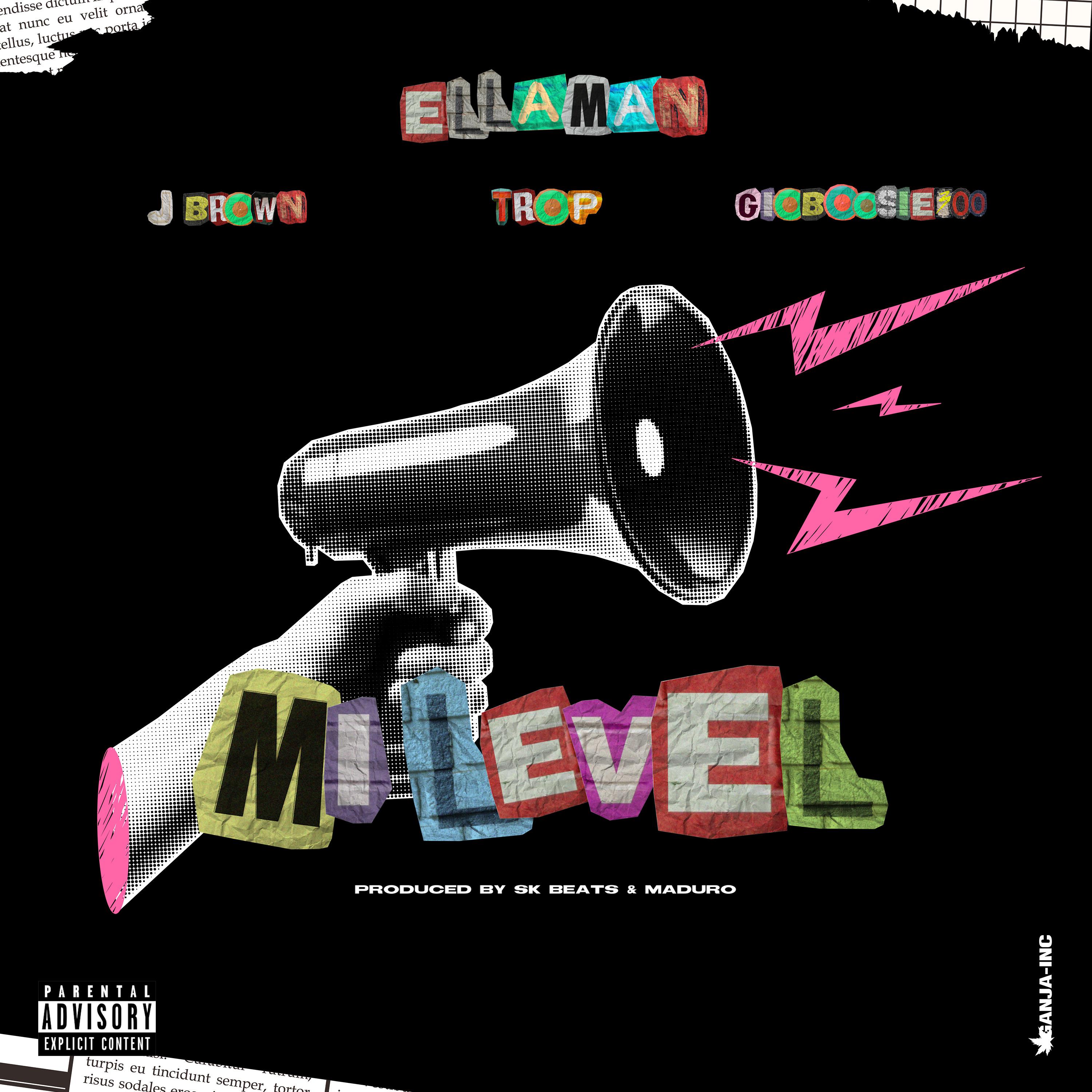 Постер альбома Mi Level