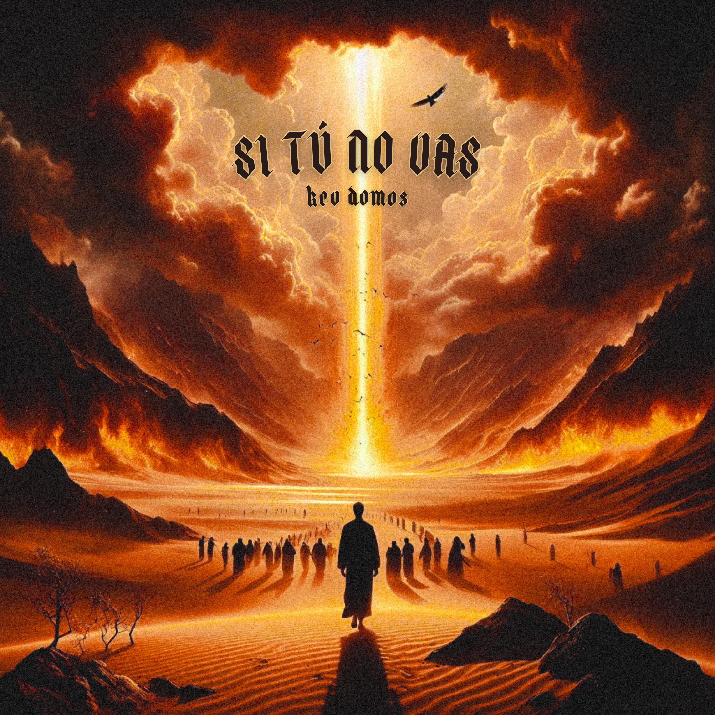 Постер альбома Si Tú No Vas