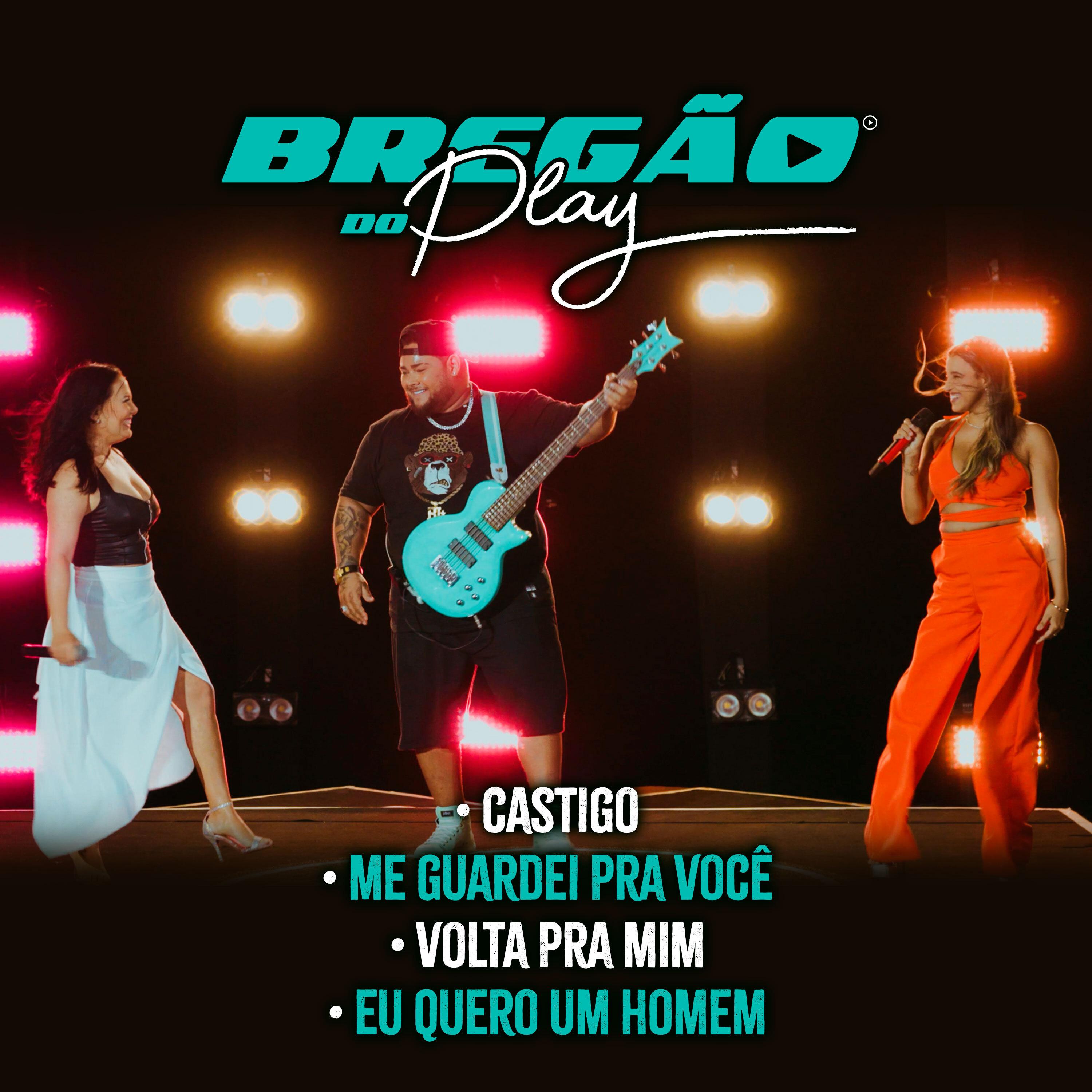 Постер альбома Castigo / Me Guardei pra Você / Volta pra Mim / Eu Quero um Homem