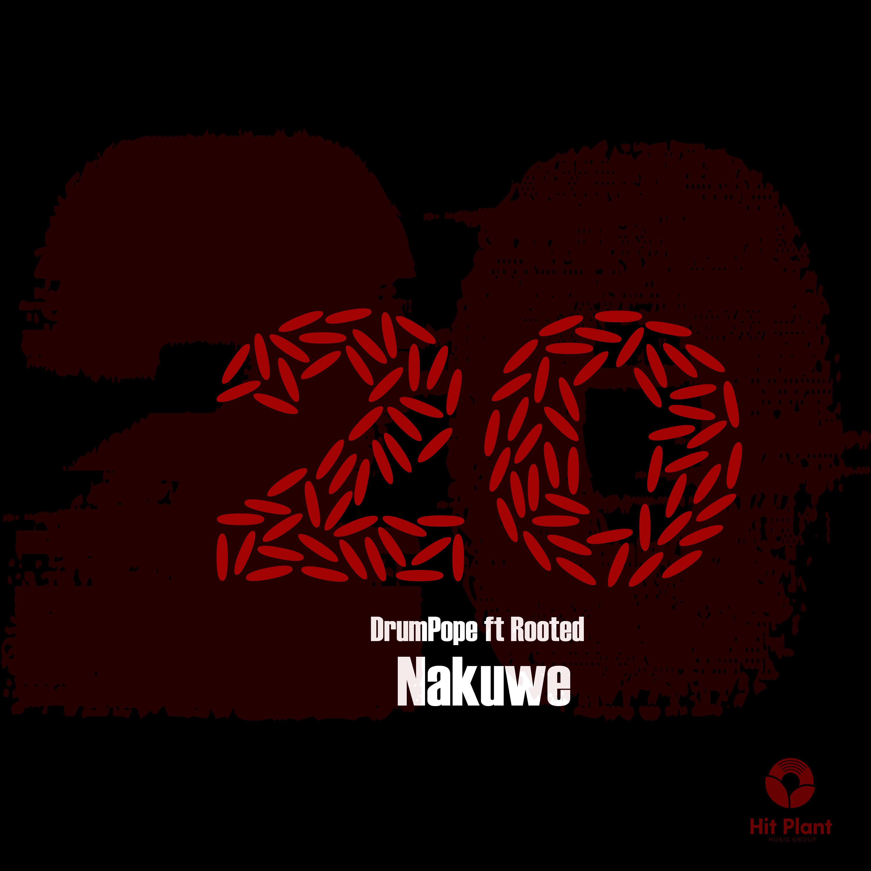Постер альбома Nakuwe