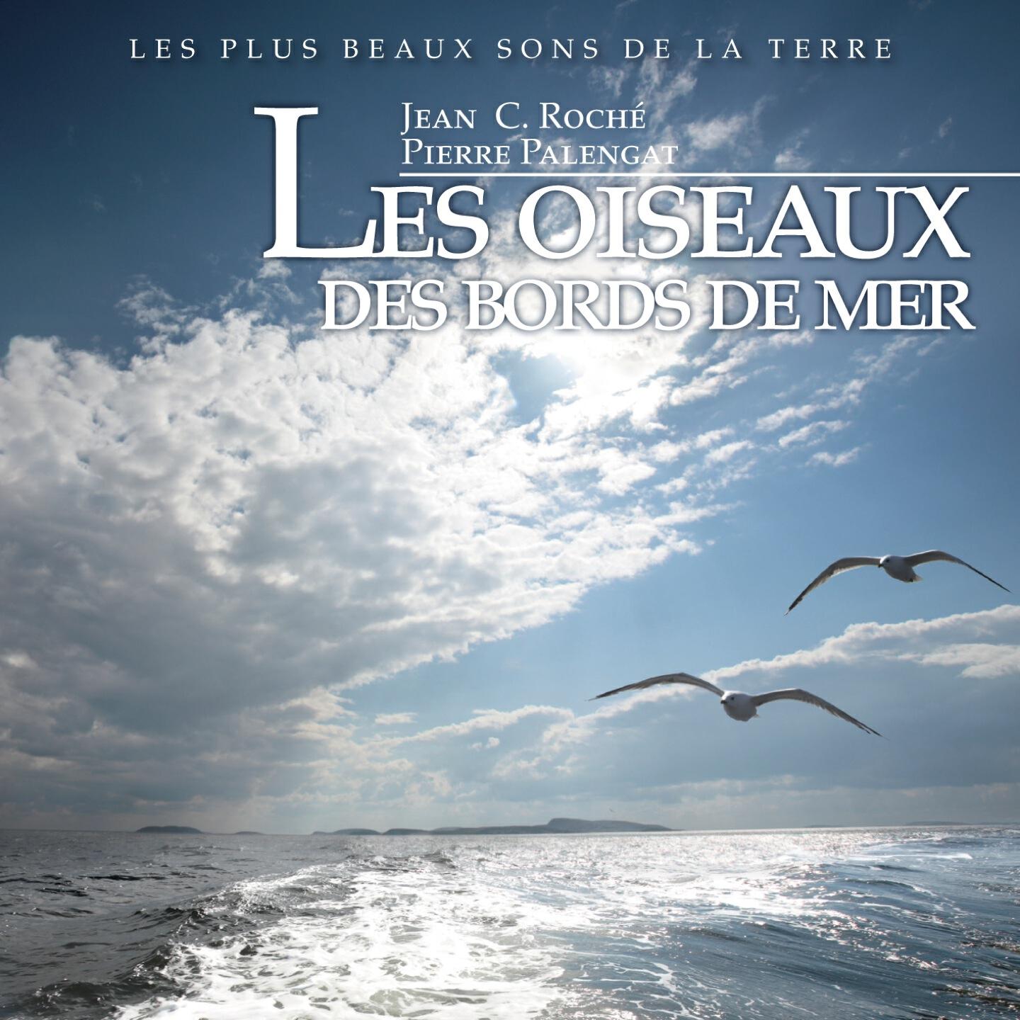 Jean C. Roché - Pipit maritime