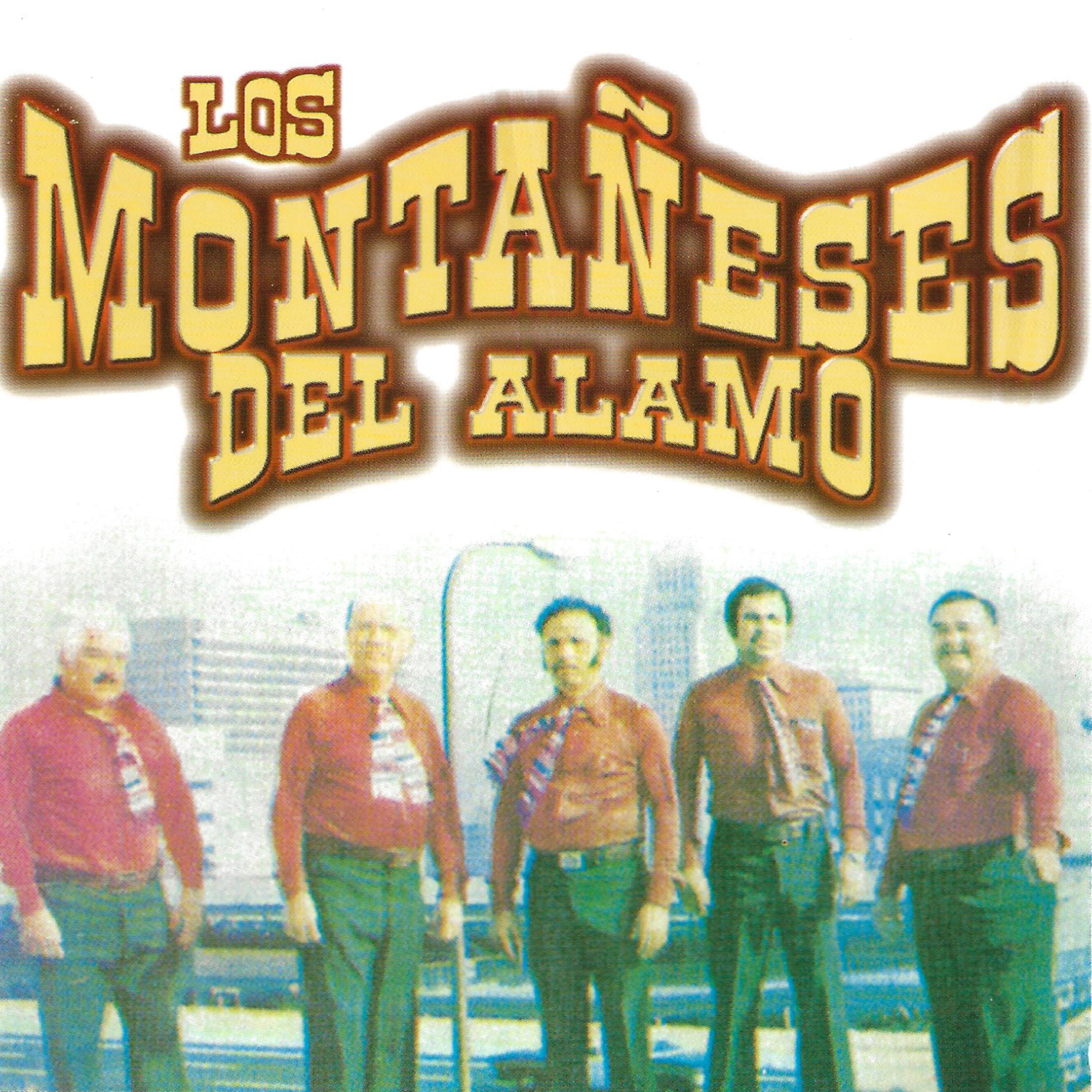 Постер альбома Los Montañeses del Alamo