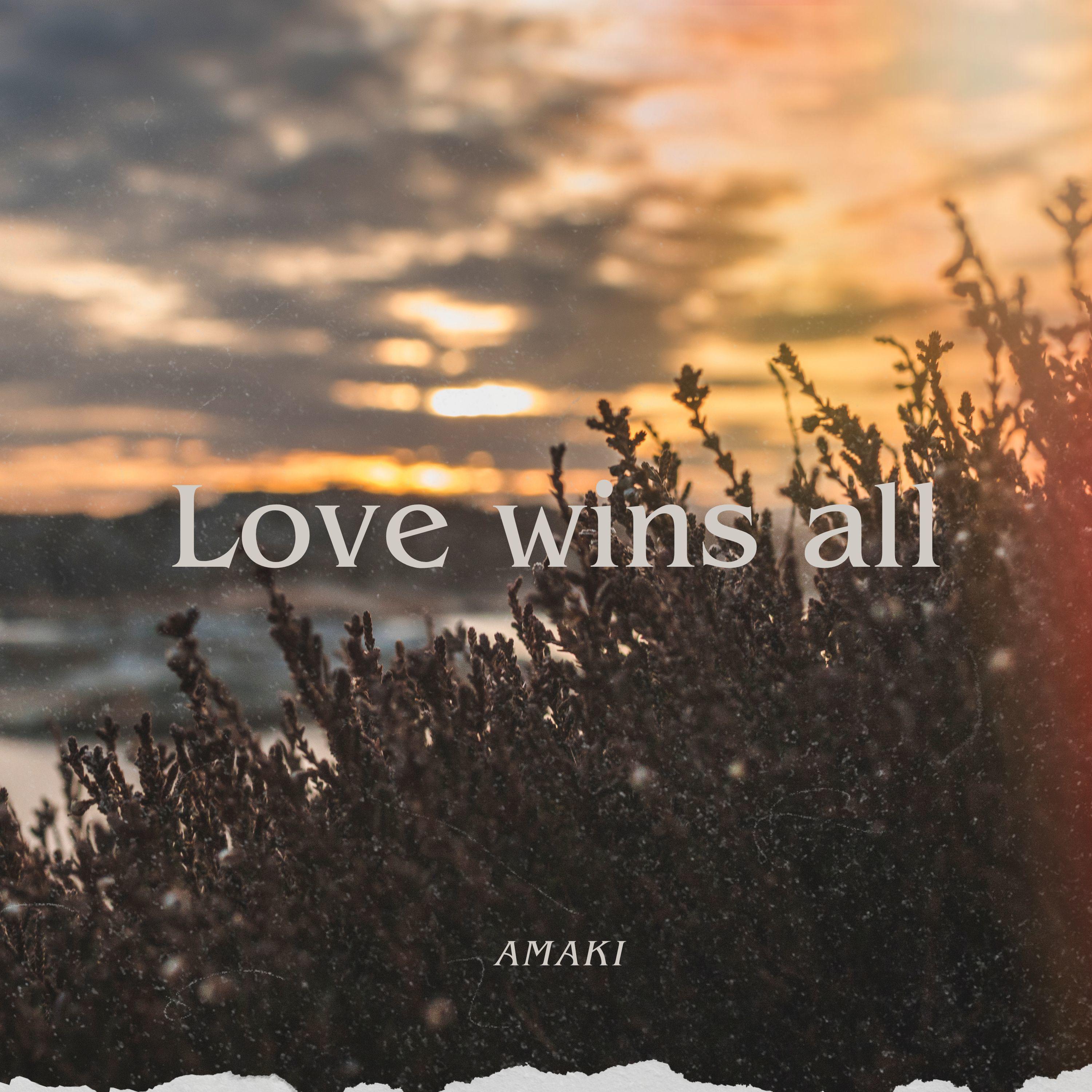 Постер альбома Love Wins All