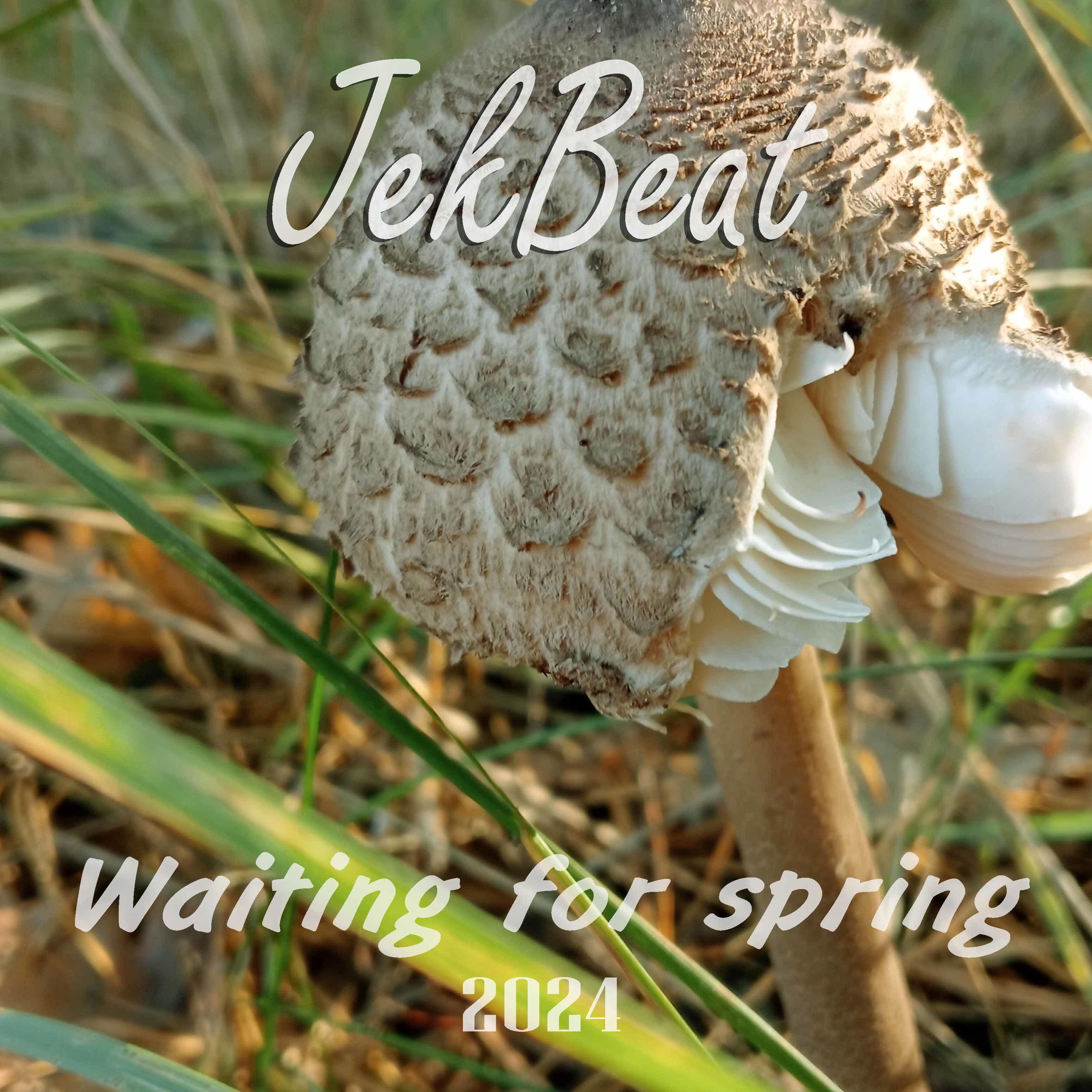 Постер альбома Waiting for Spring
