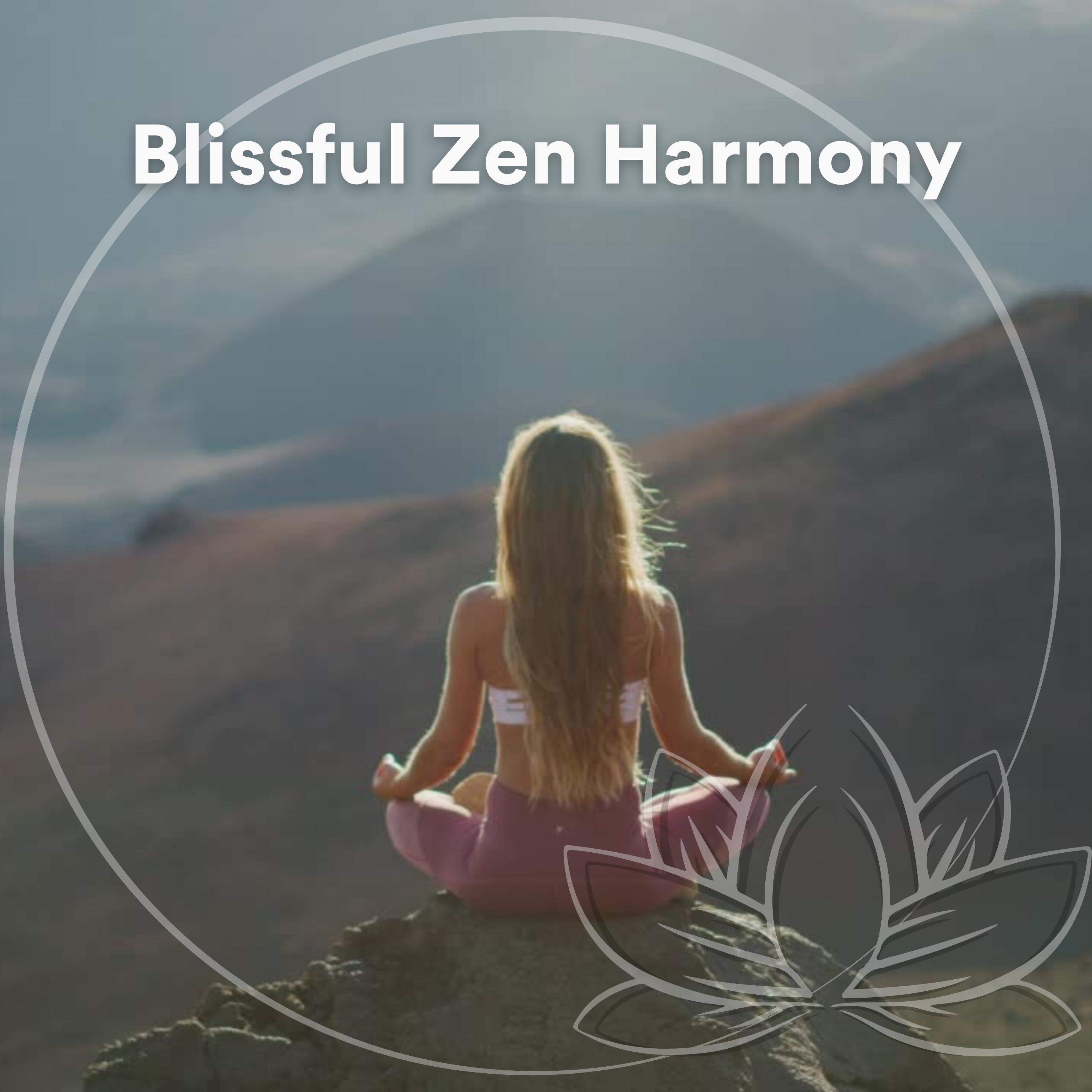 Постер альбома Blissful Zen Harmony