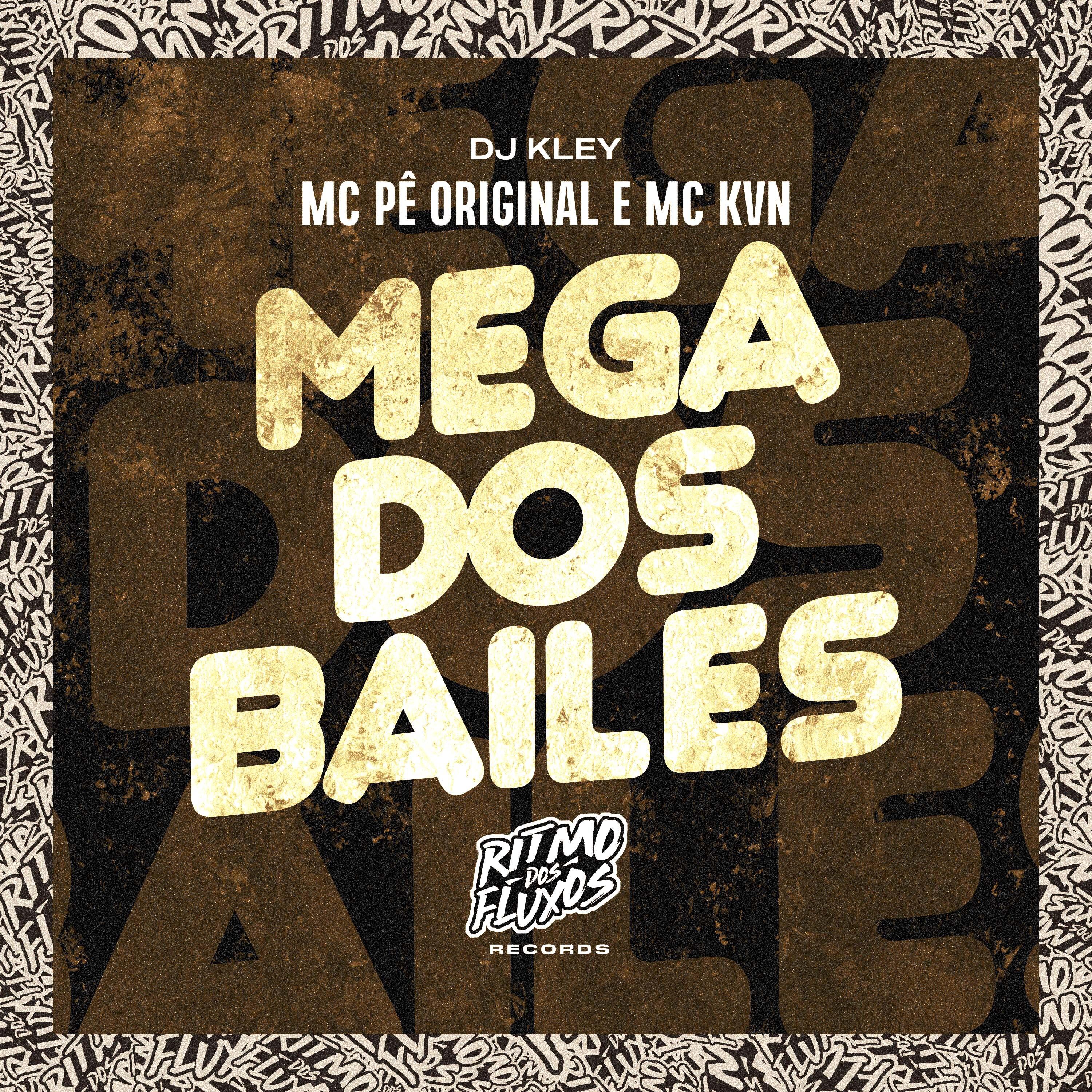 Постер альбома Mega dos Bailes