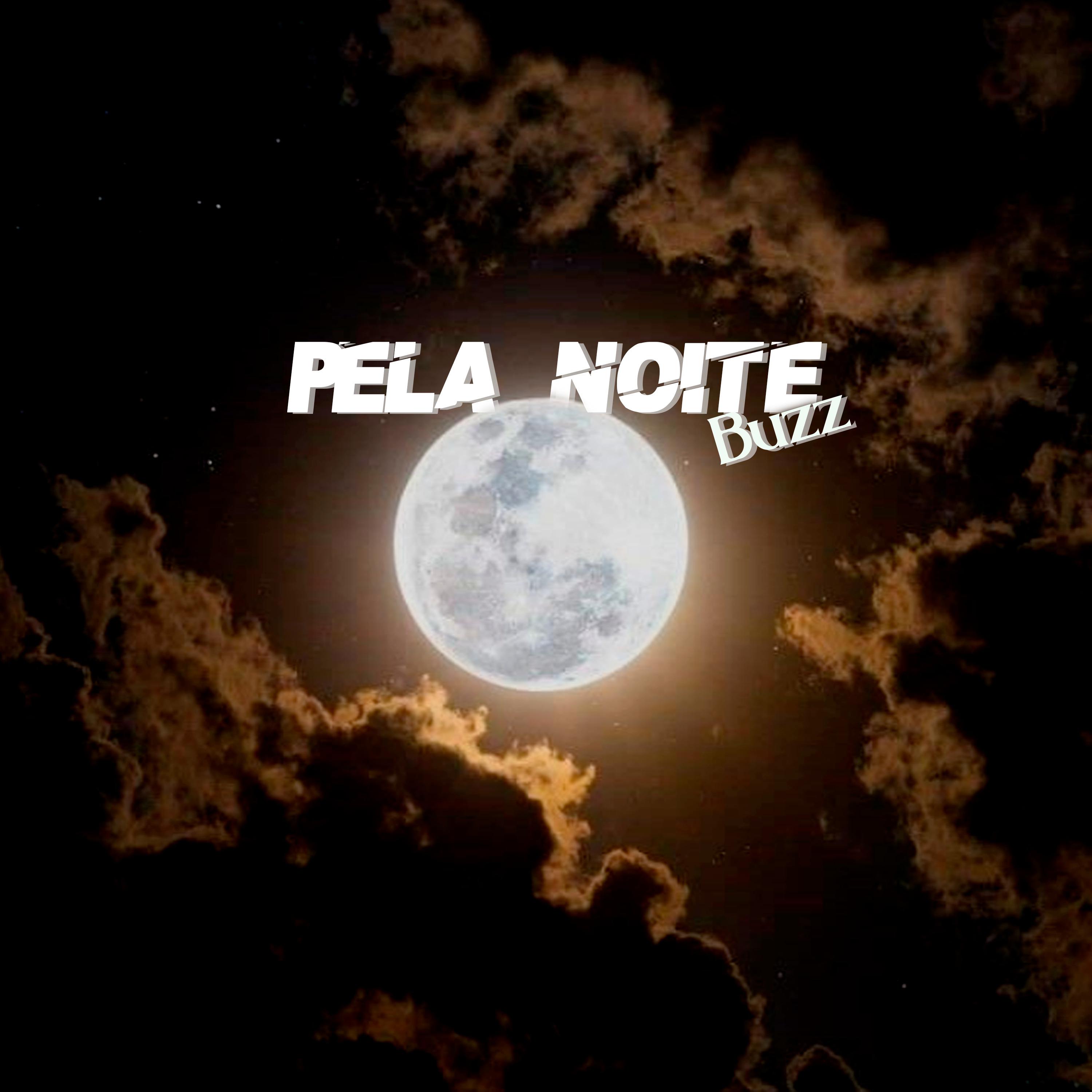 Постер альбома Pela Noite