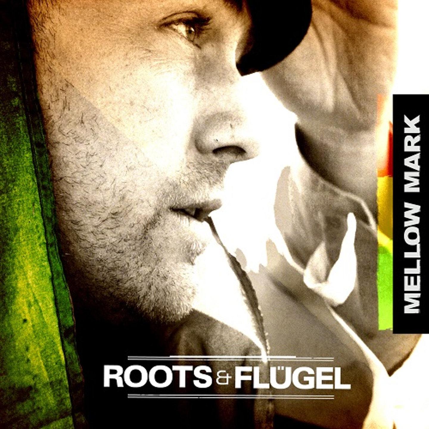 Постер альбома Roots & Flügel