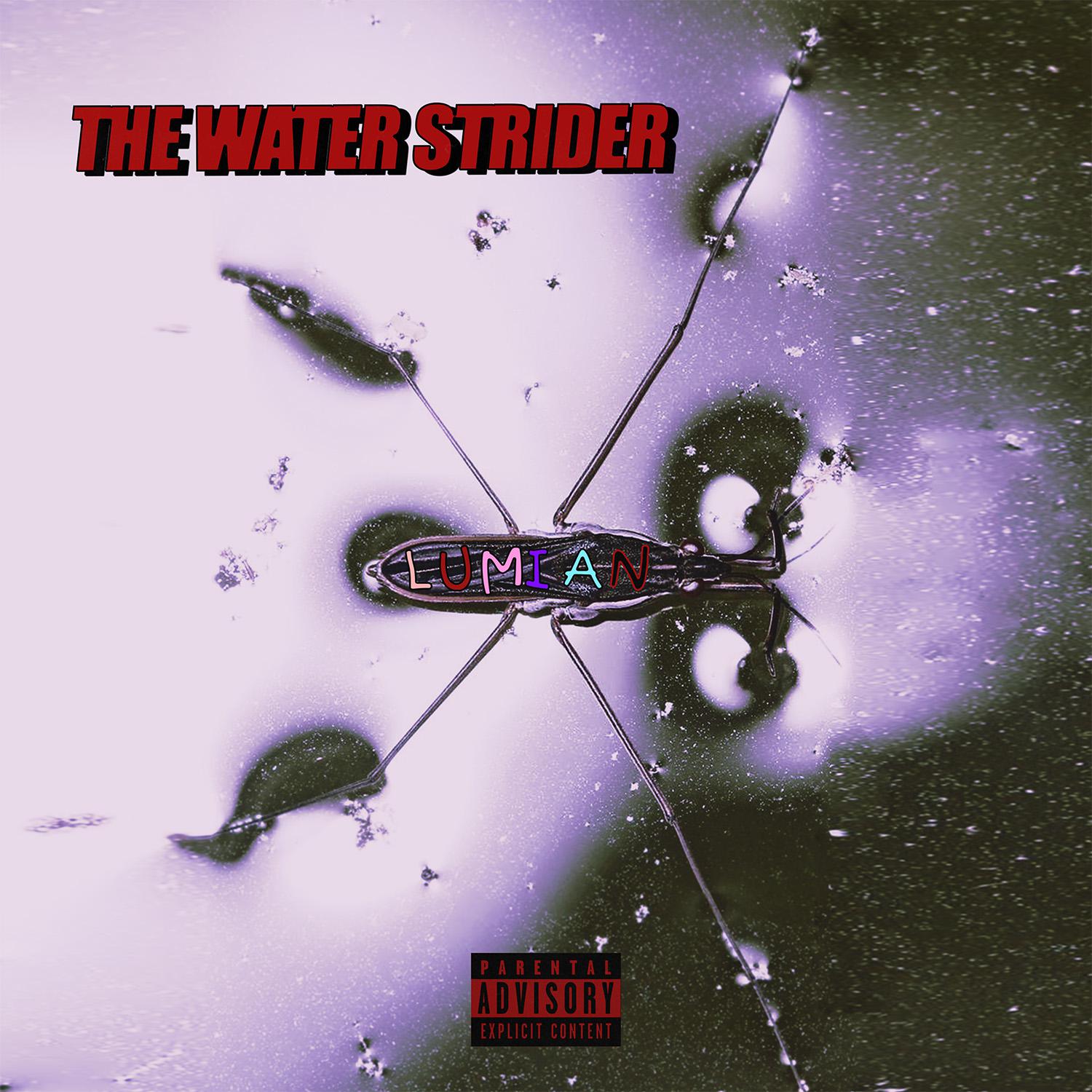 Постер альбома The Water Strider