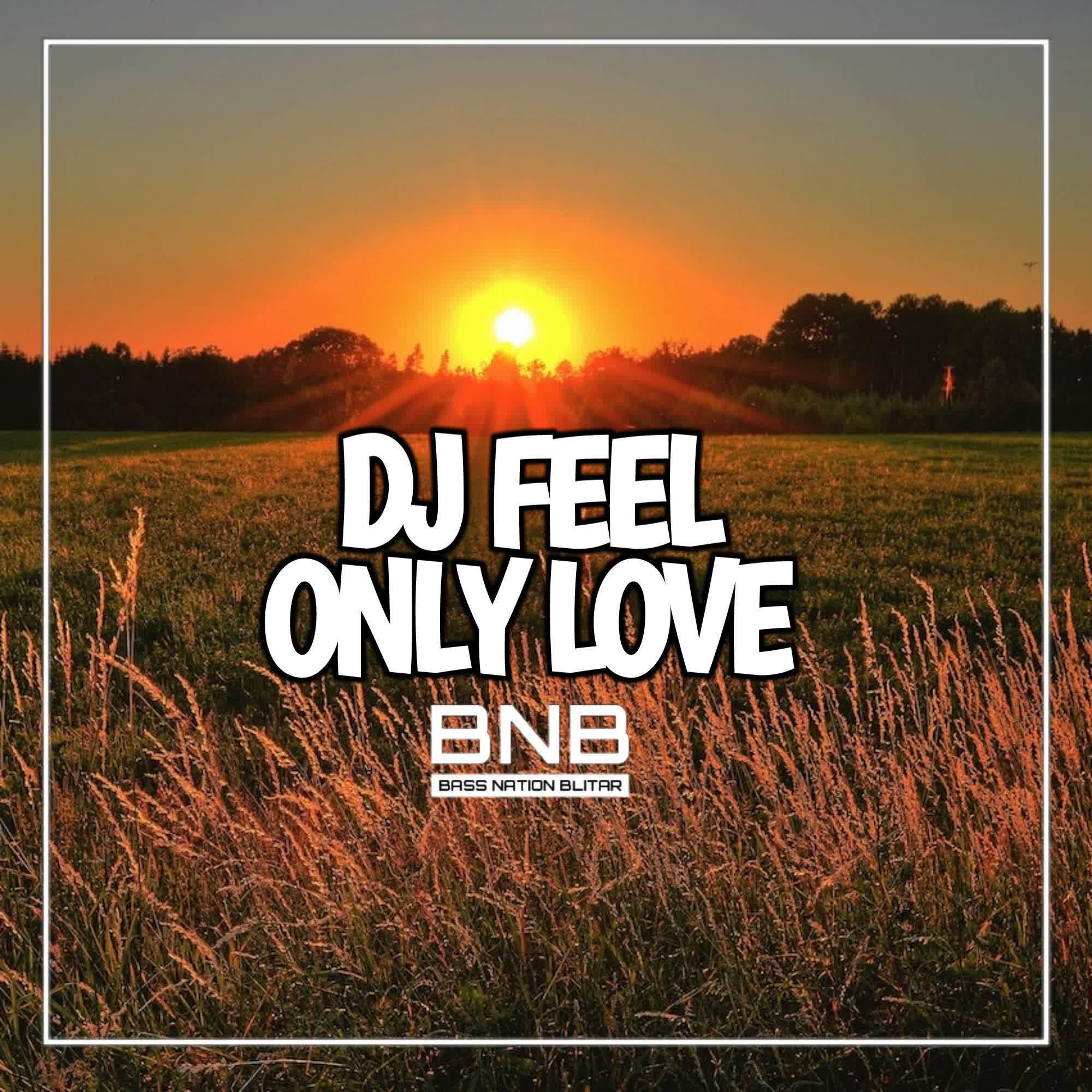 Постер альбома DJ Feel Only Love