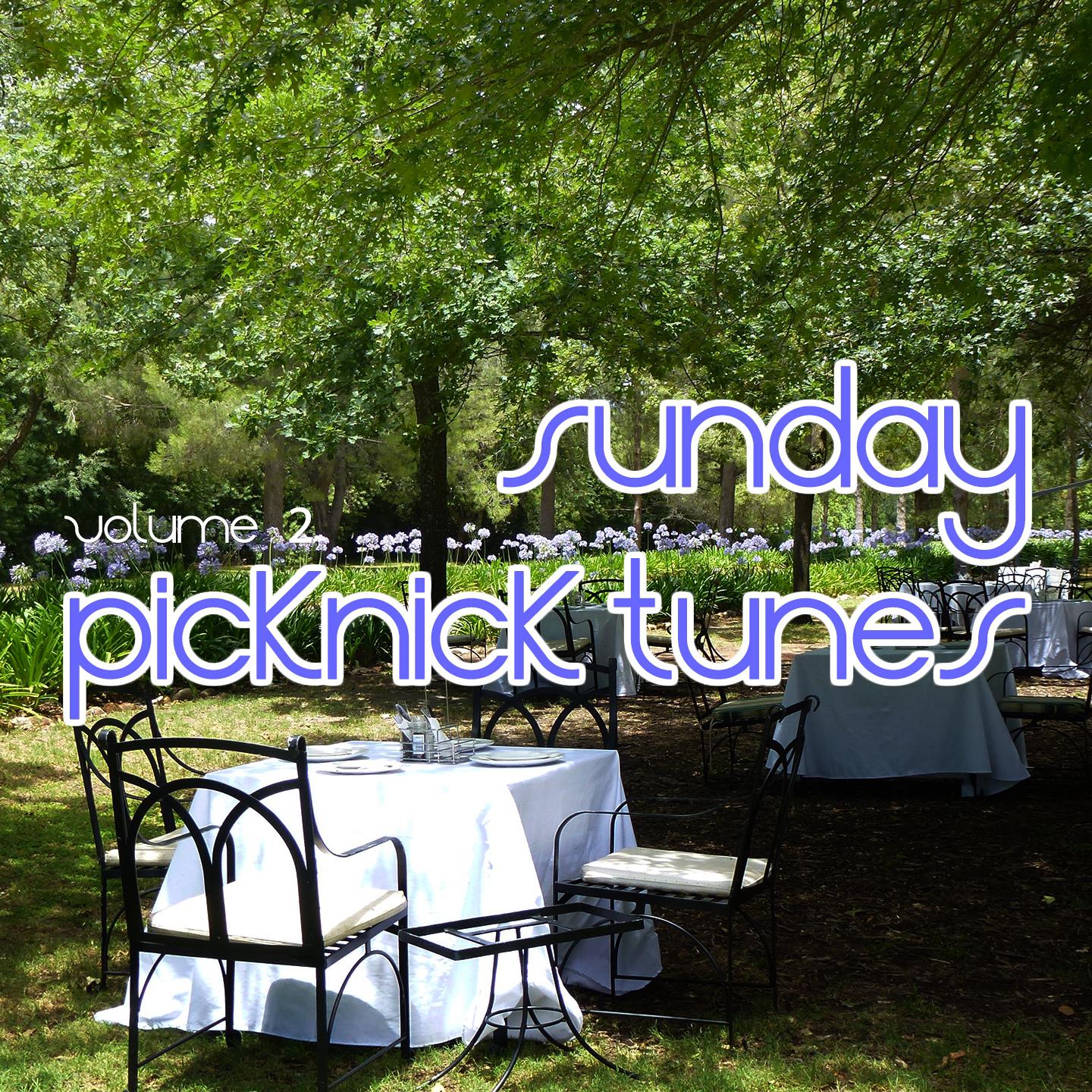 Постер альбома Sunday Picknick Tunes, Vol. 2