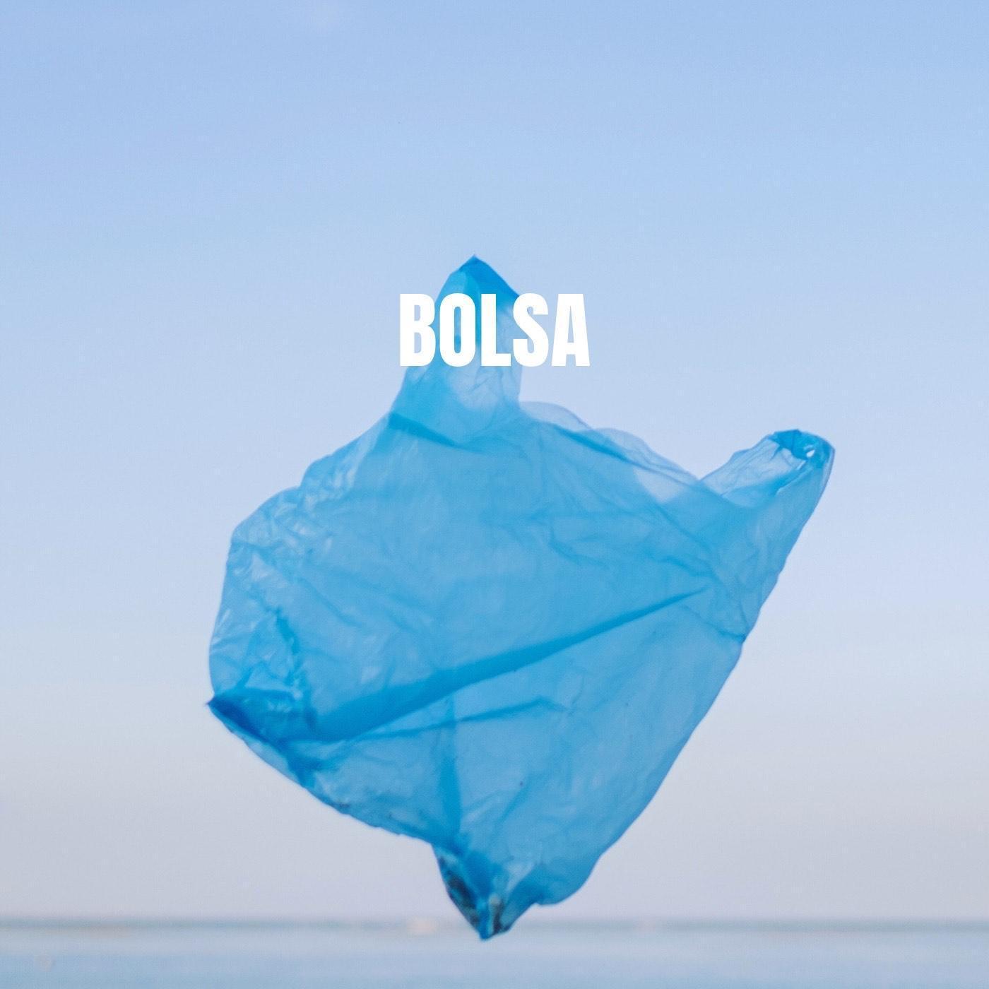 Постер альбома Bolsa (feat. LA LECHE)
