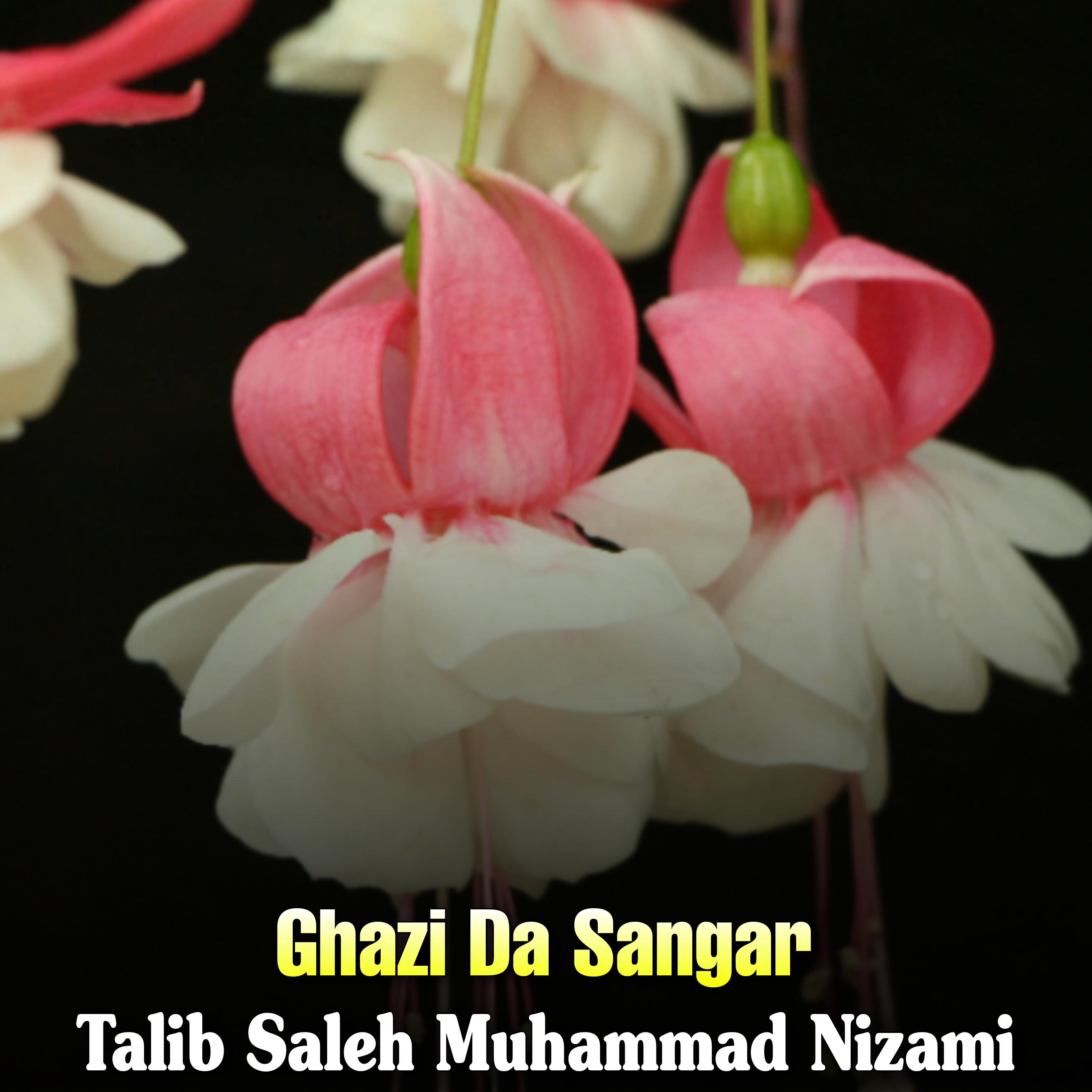Постер альбома Ghazi Da Sangar