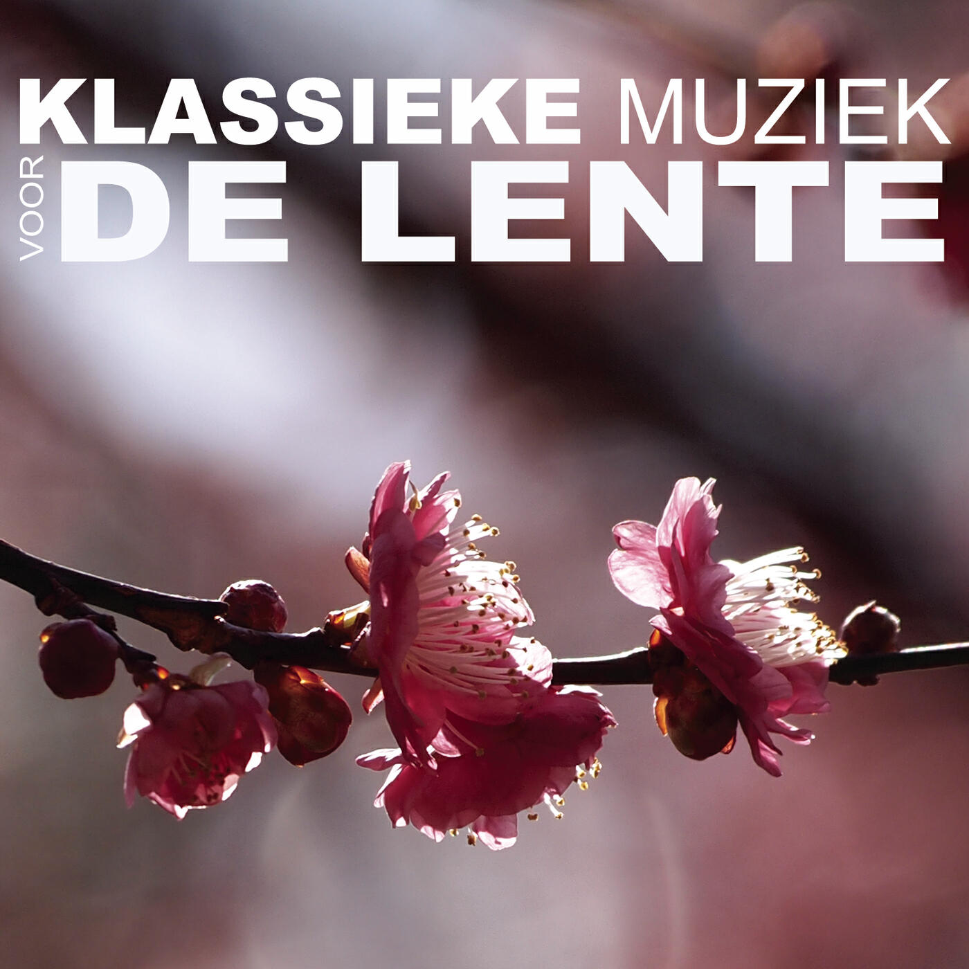 Esa-Pekka Salonen - Peer Gynt, Op. 23: Morning Mood