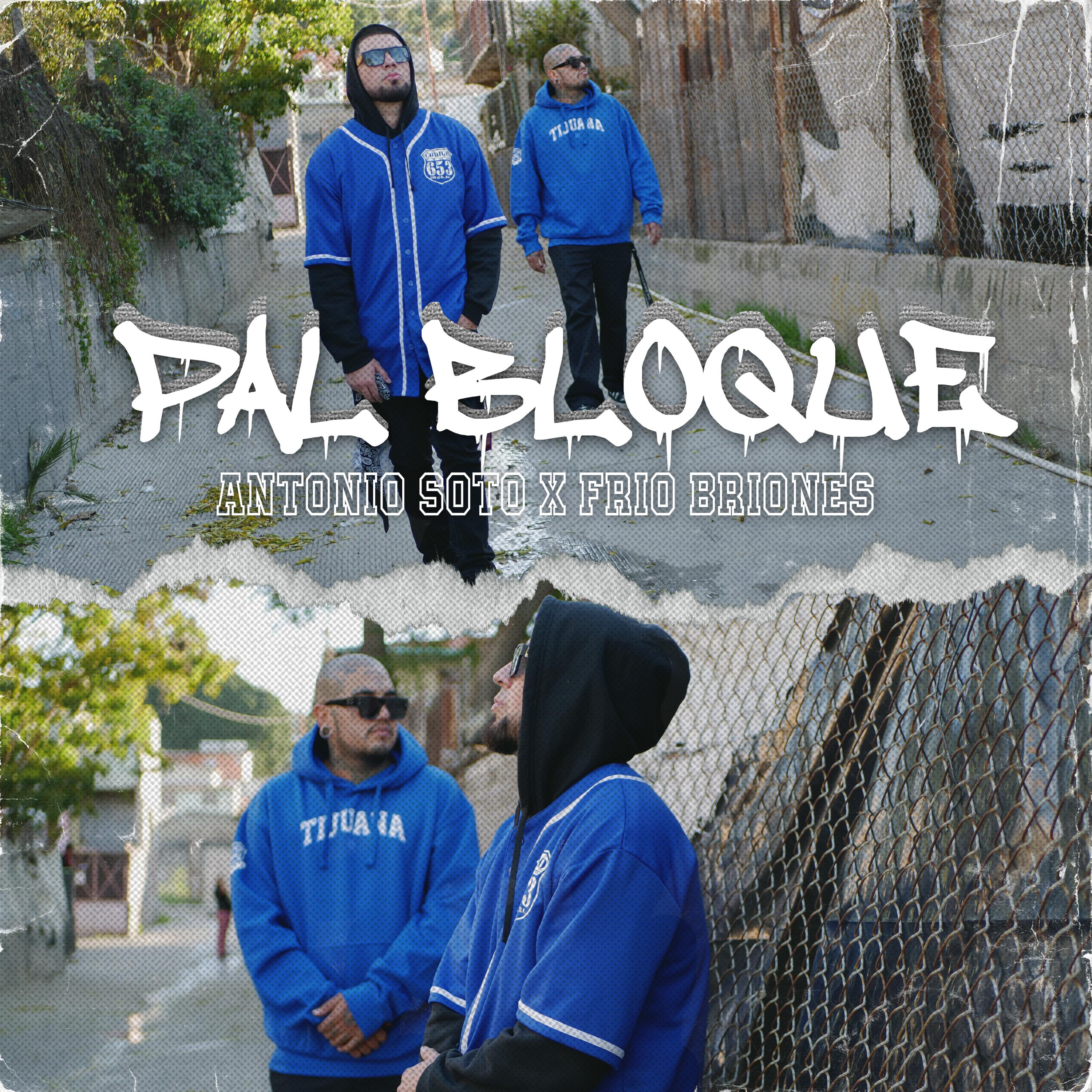 Постер альбома Pal Bloque