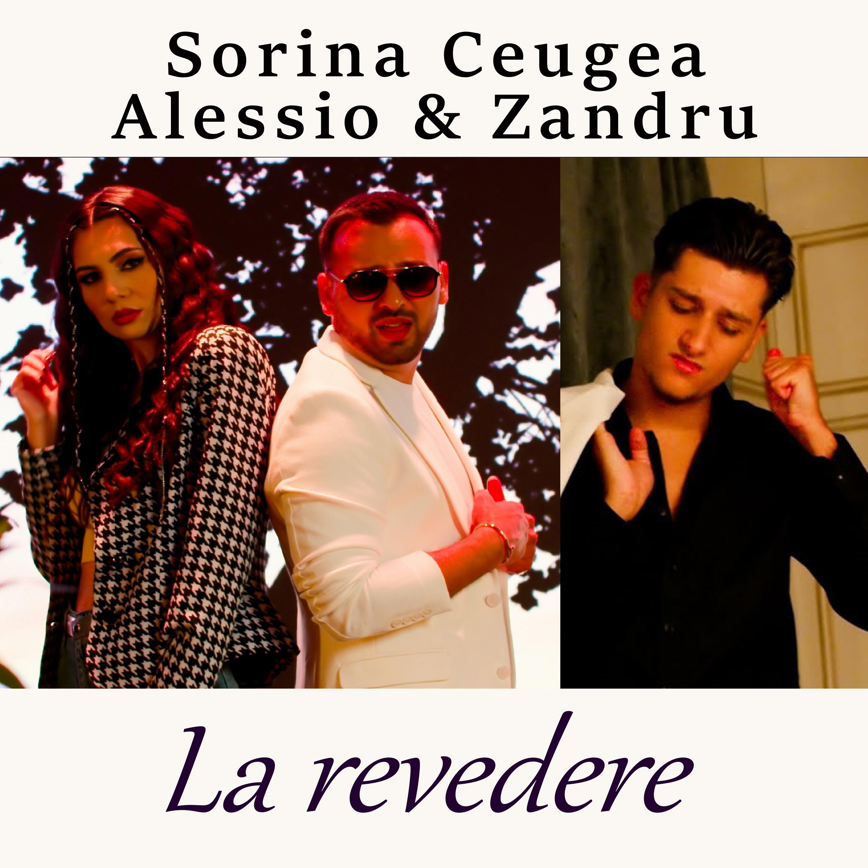 Постер альбома La revedere