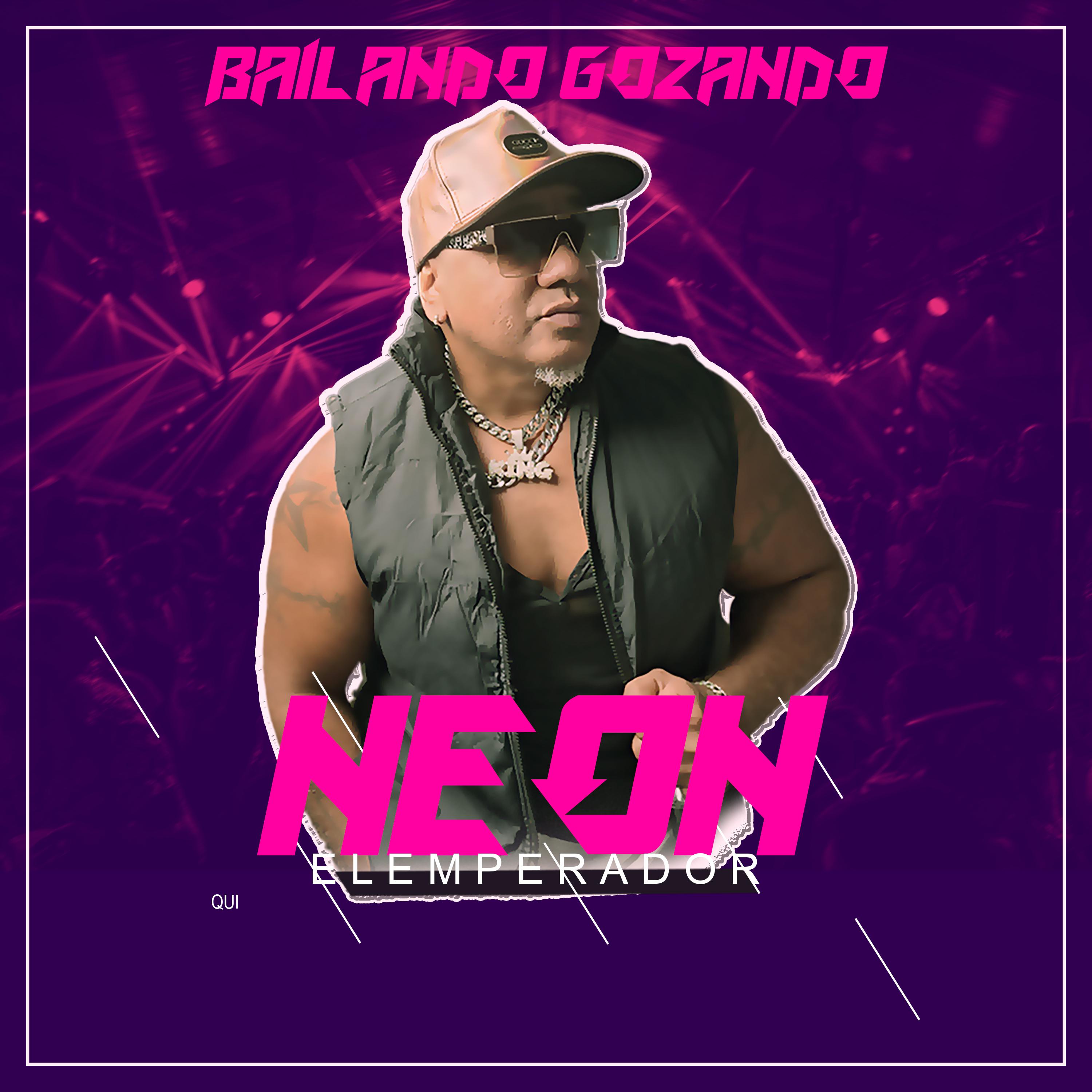 Постер альбома Bailando Gozando