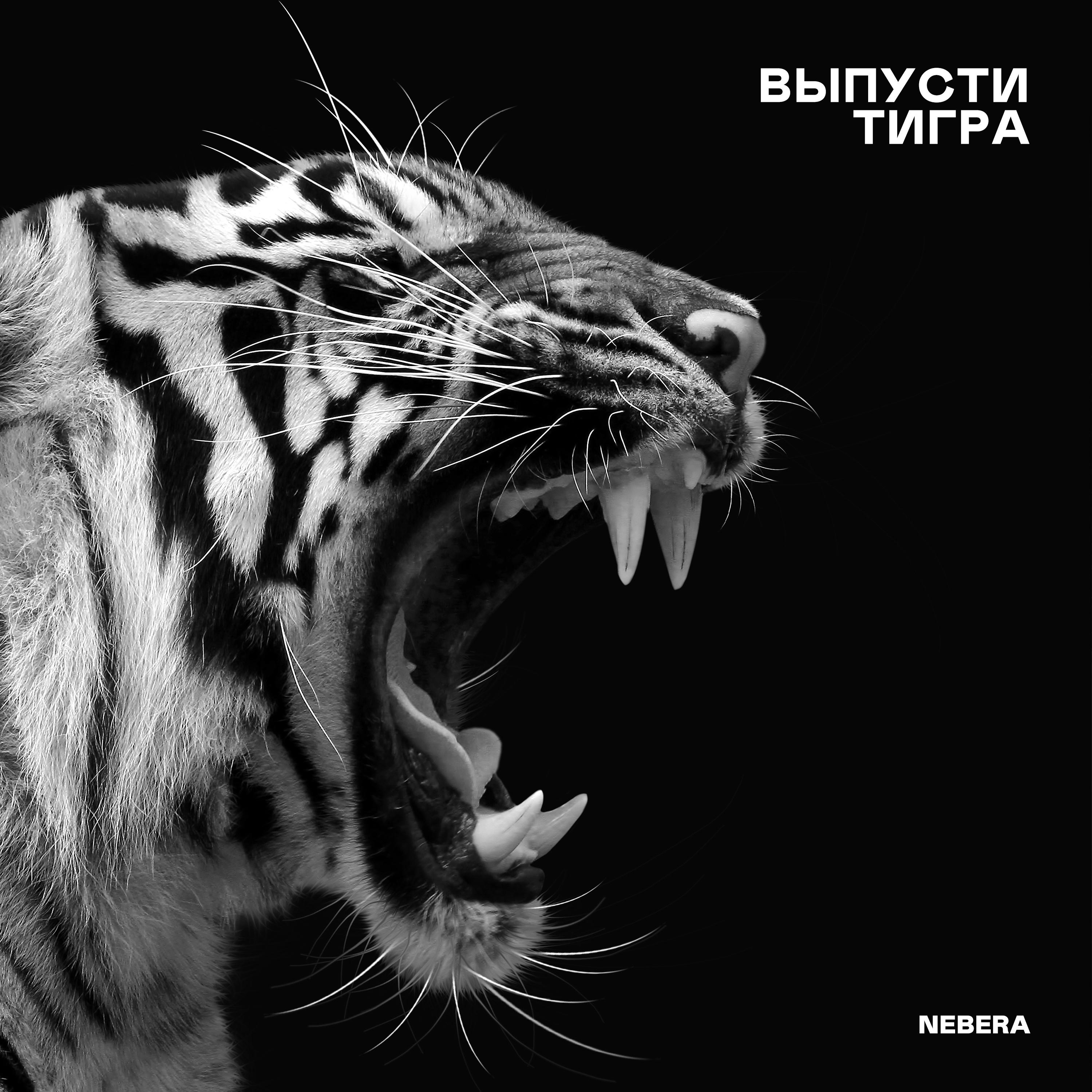 Постер альбома Выпусти тигра