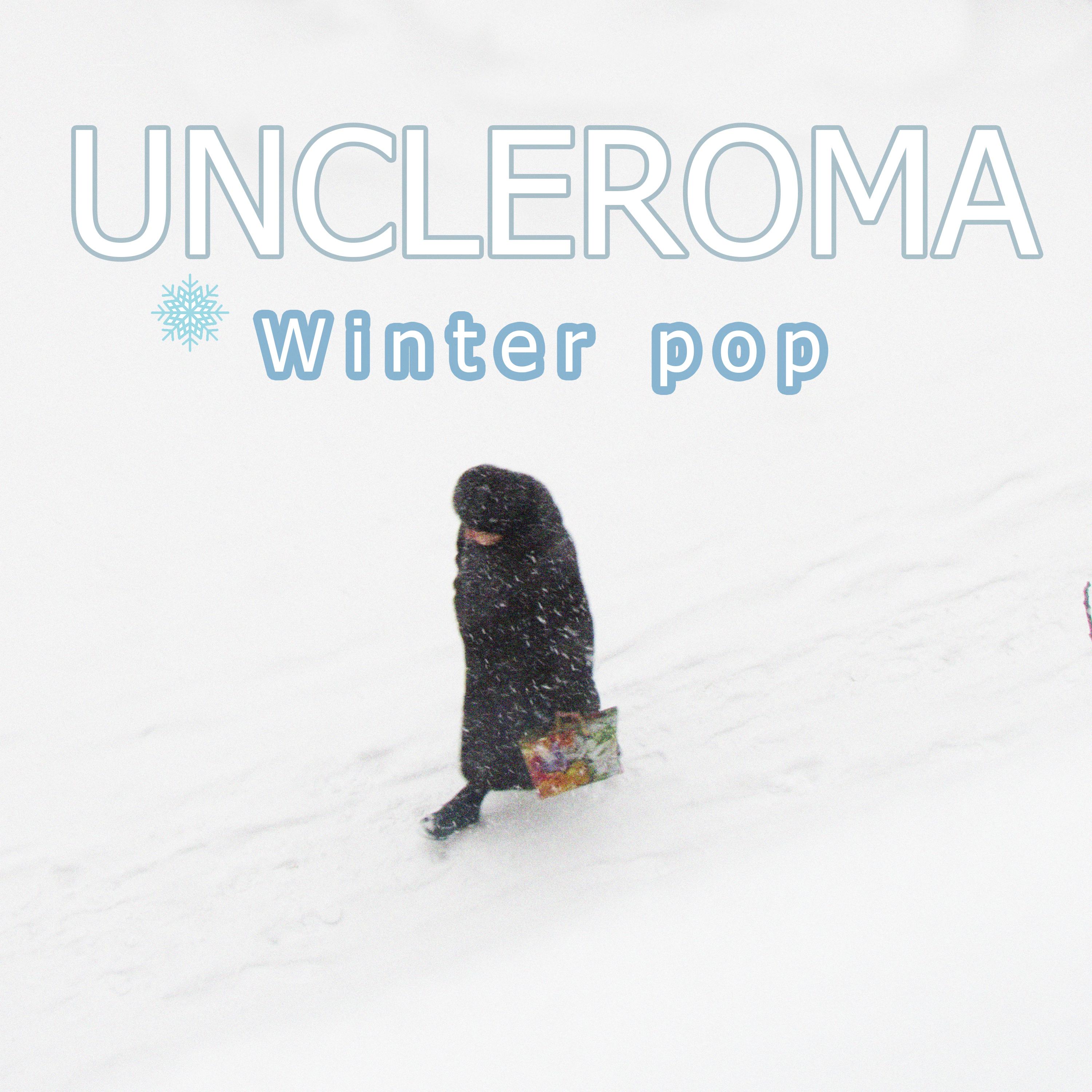 Постер альбома Winter Pop
