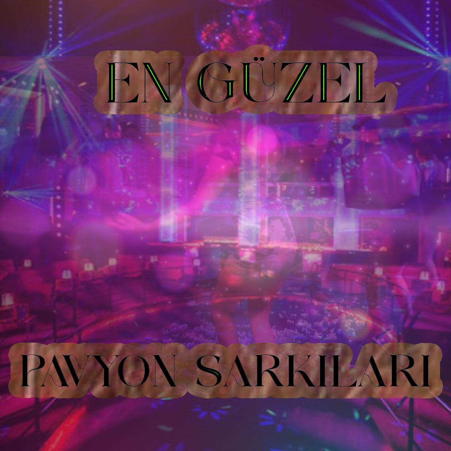 Постер альбома En Güzel Pavyon Şarkıları